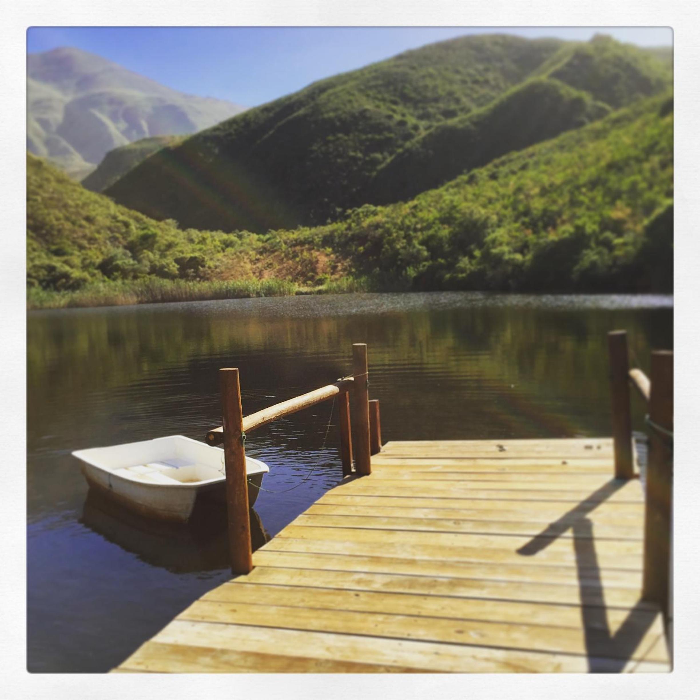 Pat Busch Mountain Reserve