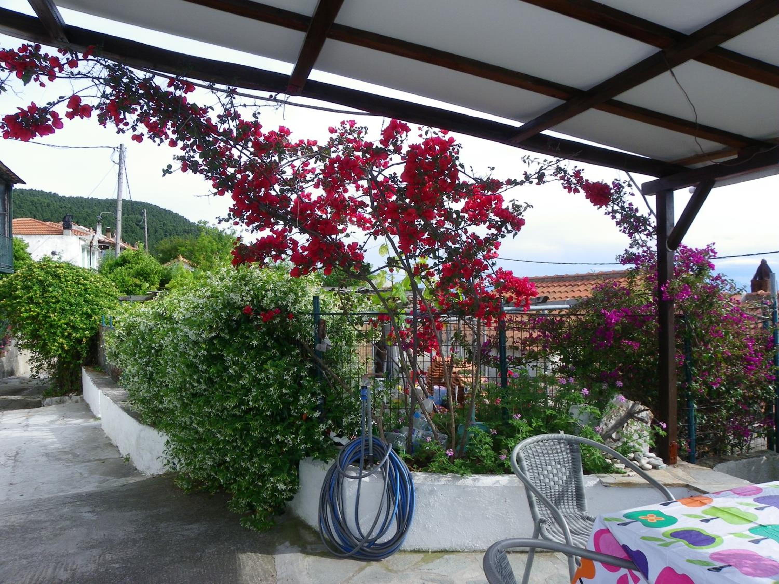 Green House view 2