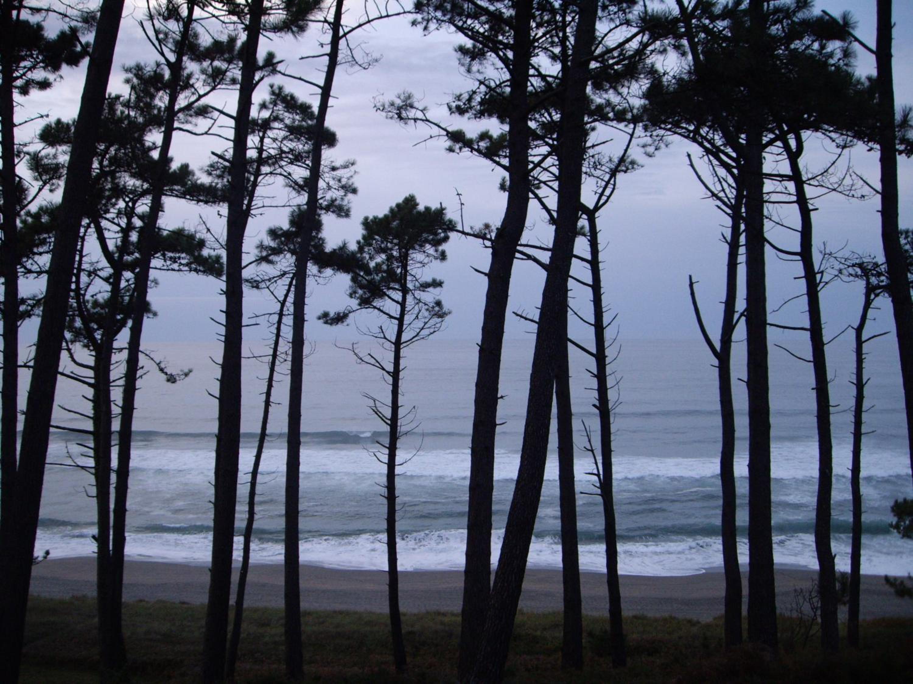 Photo 44
