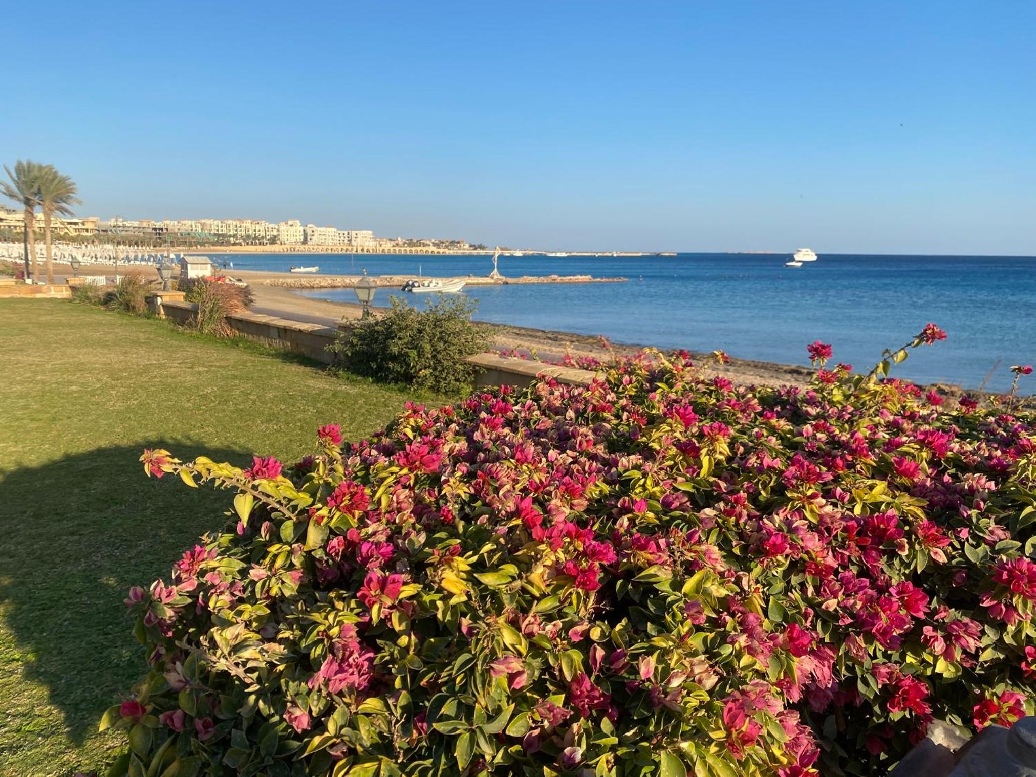 Cozy studio in Azzurra Resort Sahl Hasheesh 65 Sq M