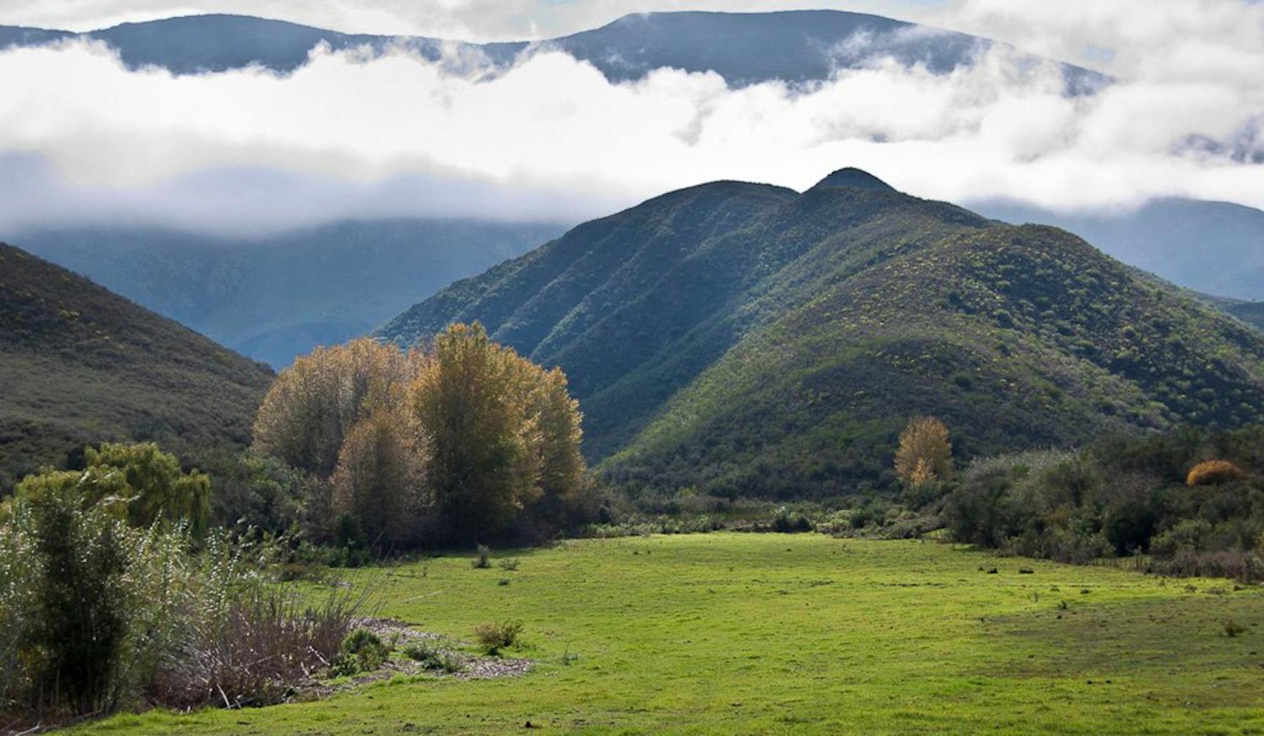 Pat Busch Mountain Reserve