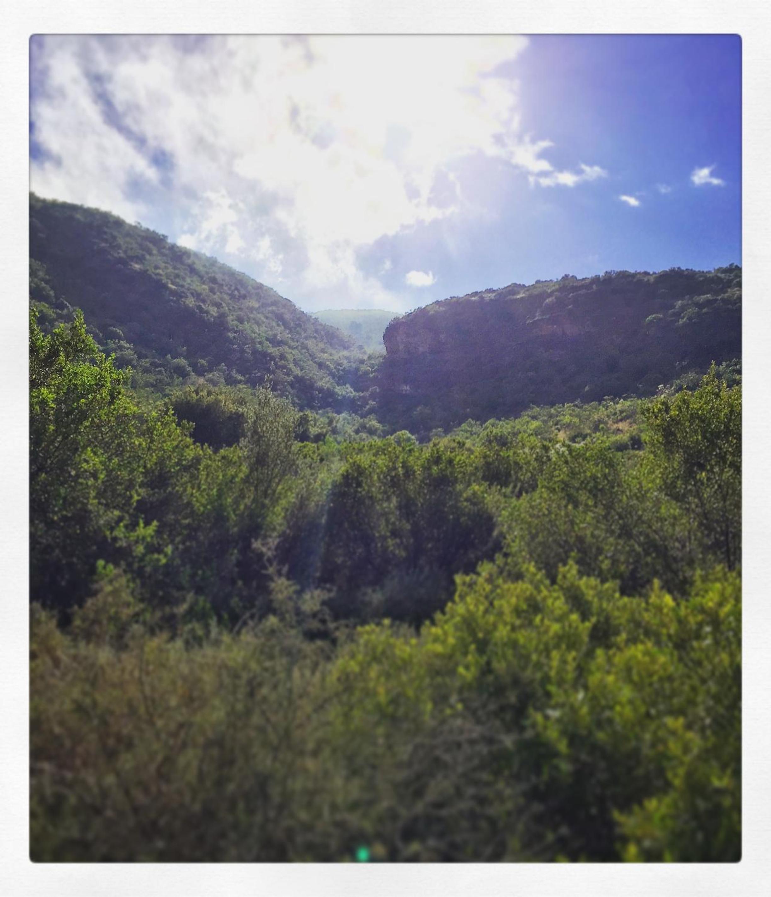 Pat Busch Mountain Reserve