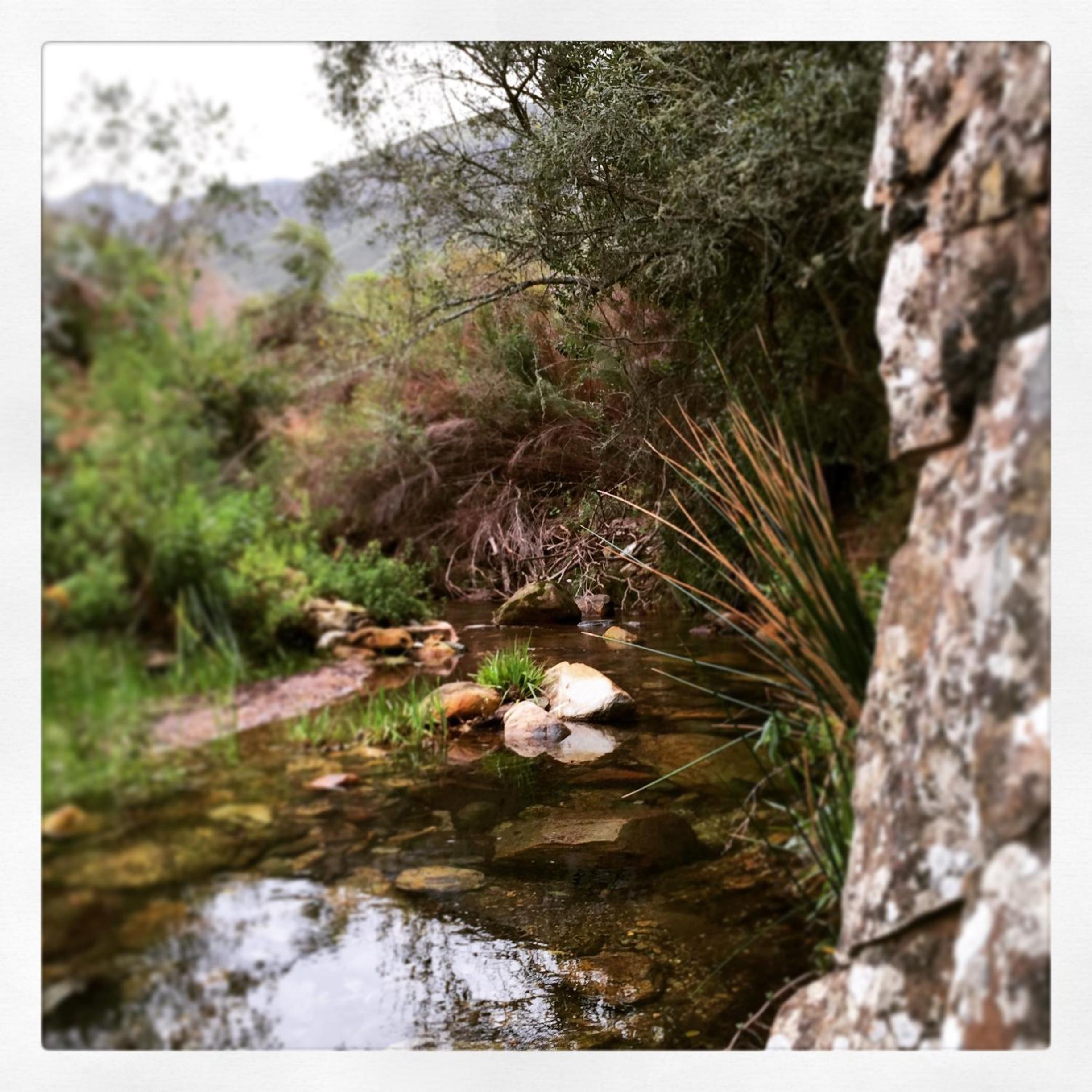 Pat Busch Mountain Reserve