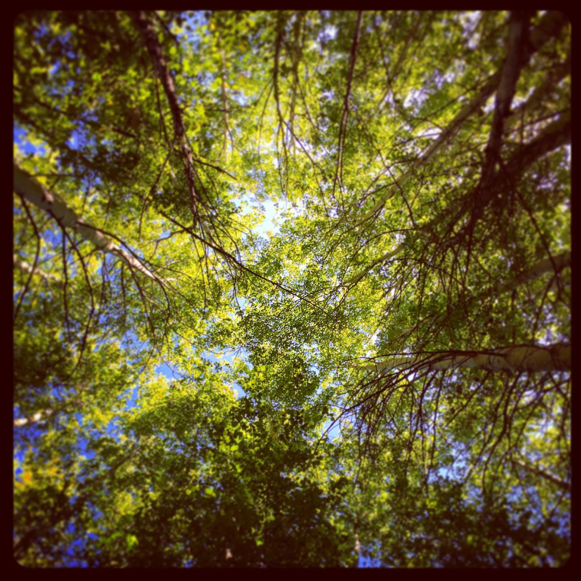 Pat Busch Mountain Reserve