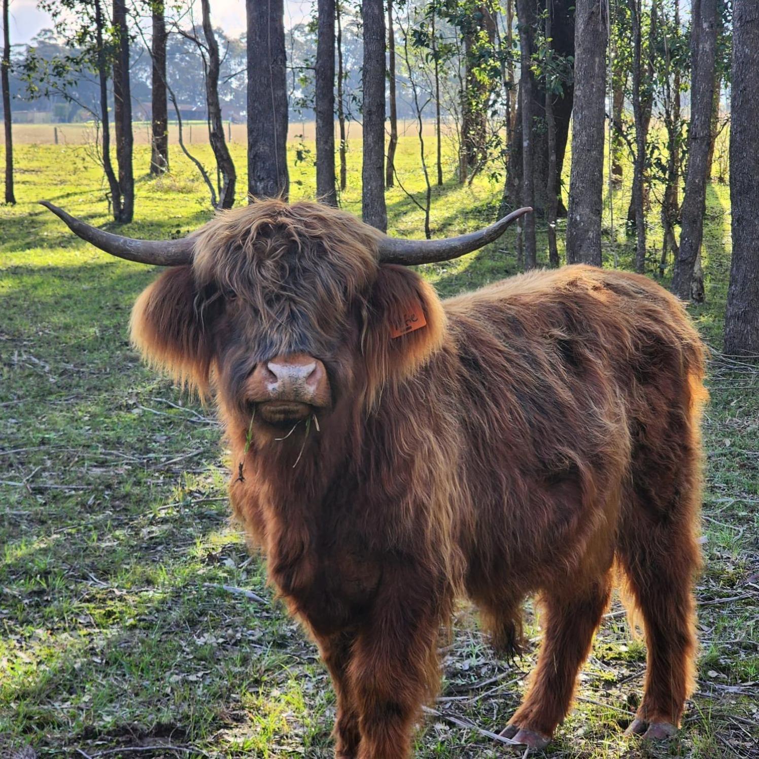 Farm Stay, Mariton Farm
