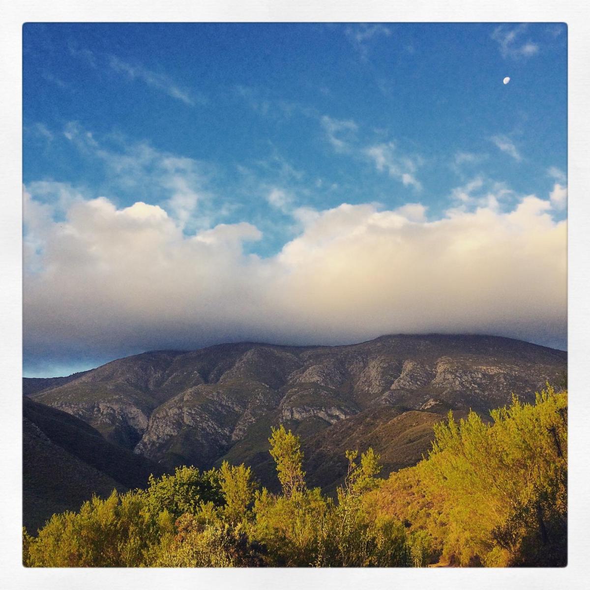 Pat Busch Mountain Reserve