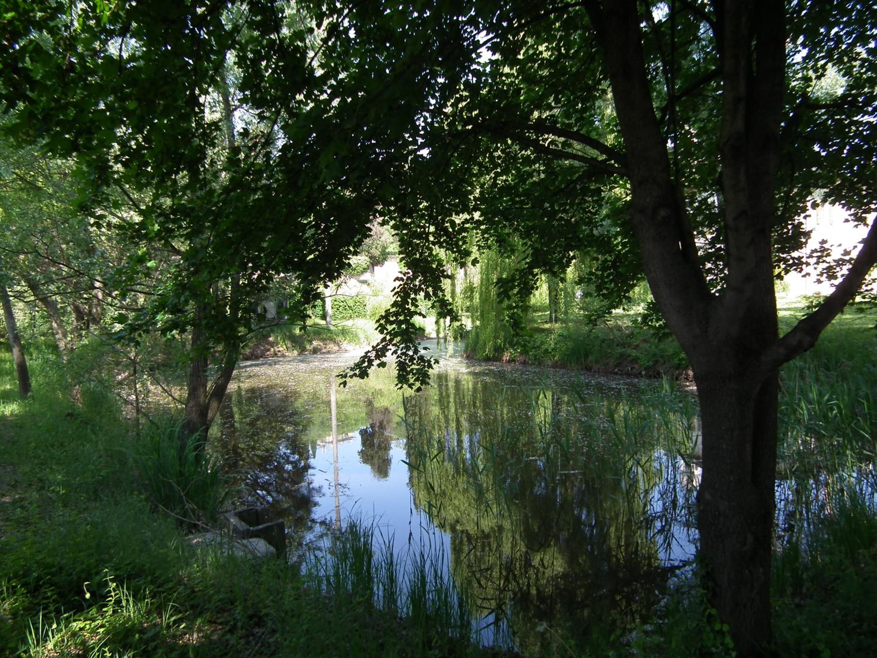 Photo 36