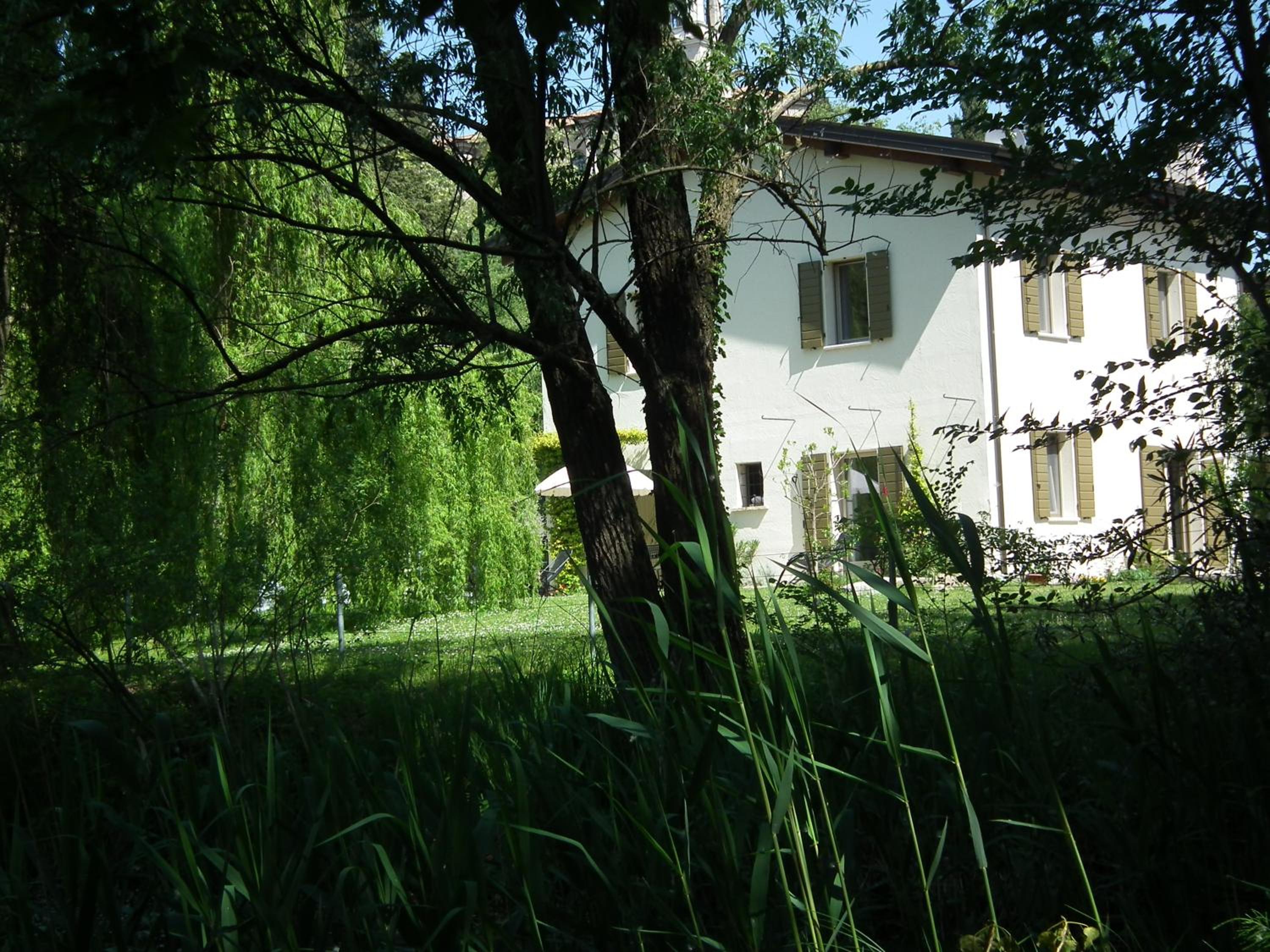 Photo 33