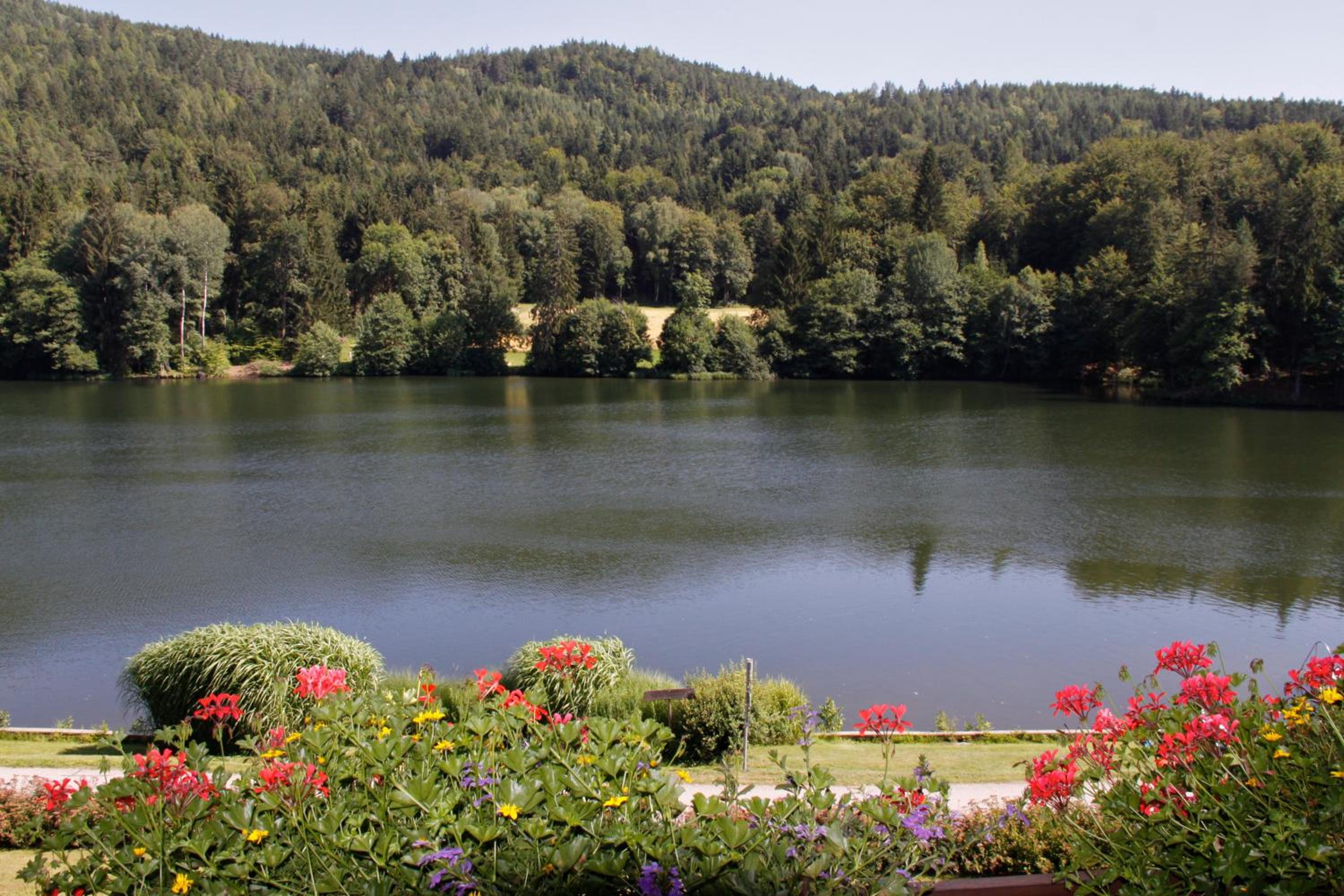 Landgasthof Trattnig