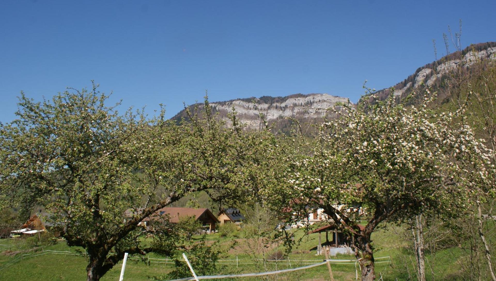 Photo 39
