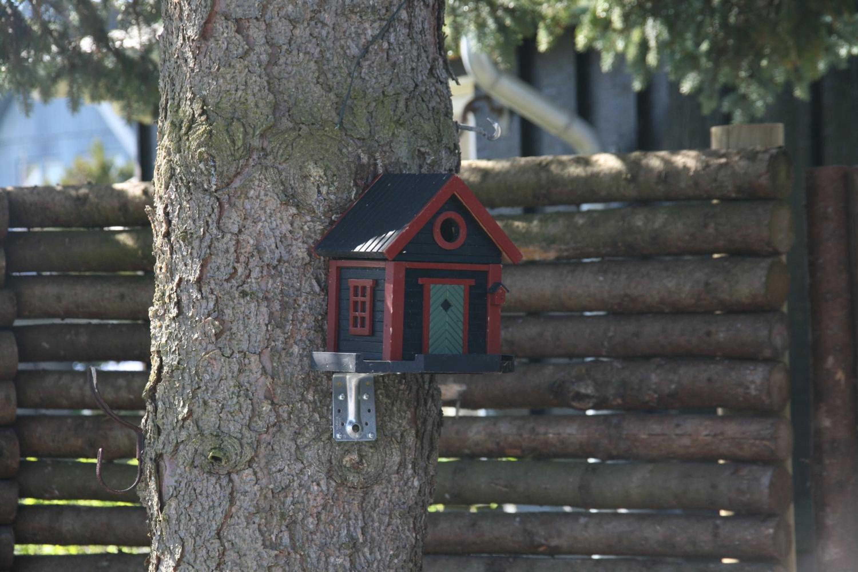 Photo 41