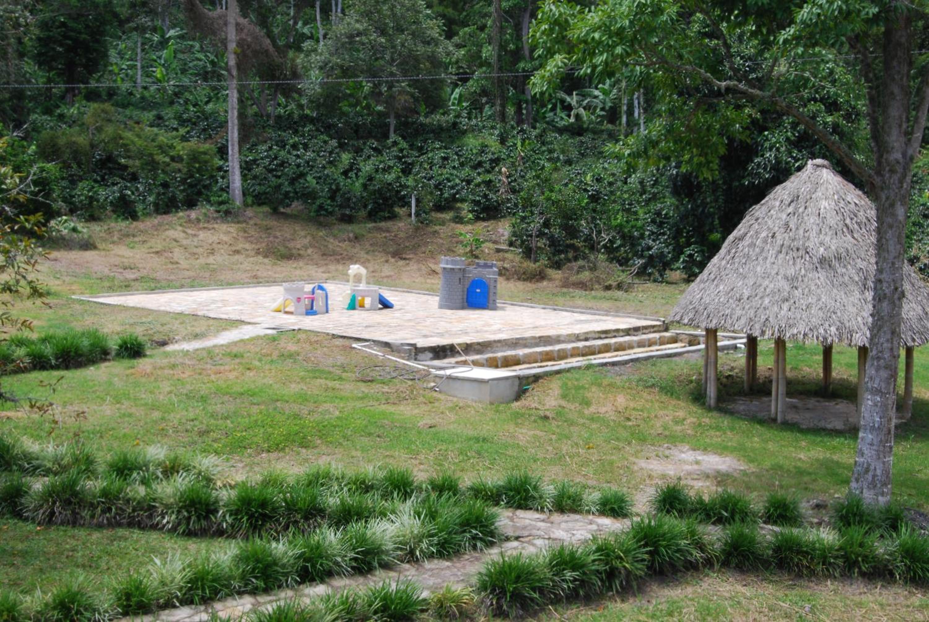 Las Mercedes Finca Cafetera