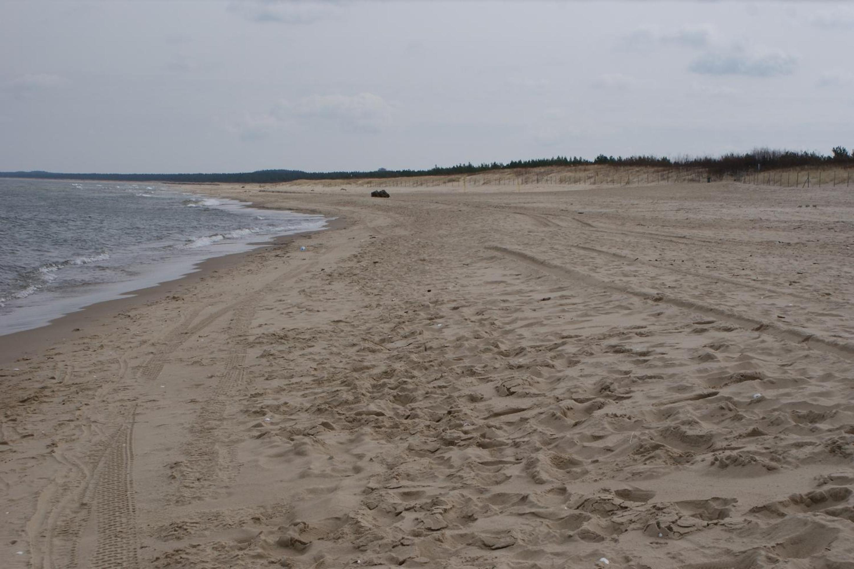 Photo 45