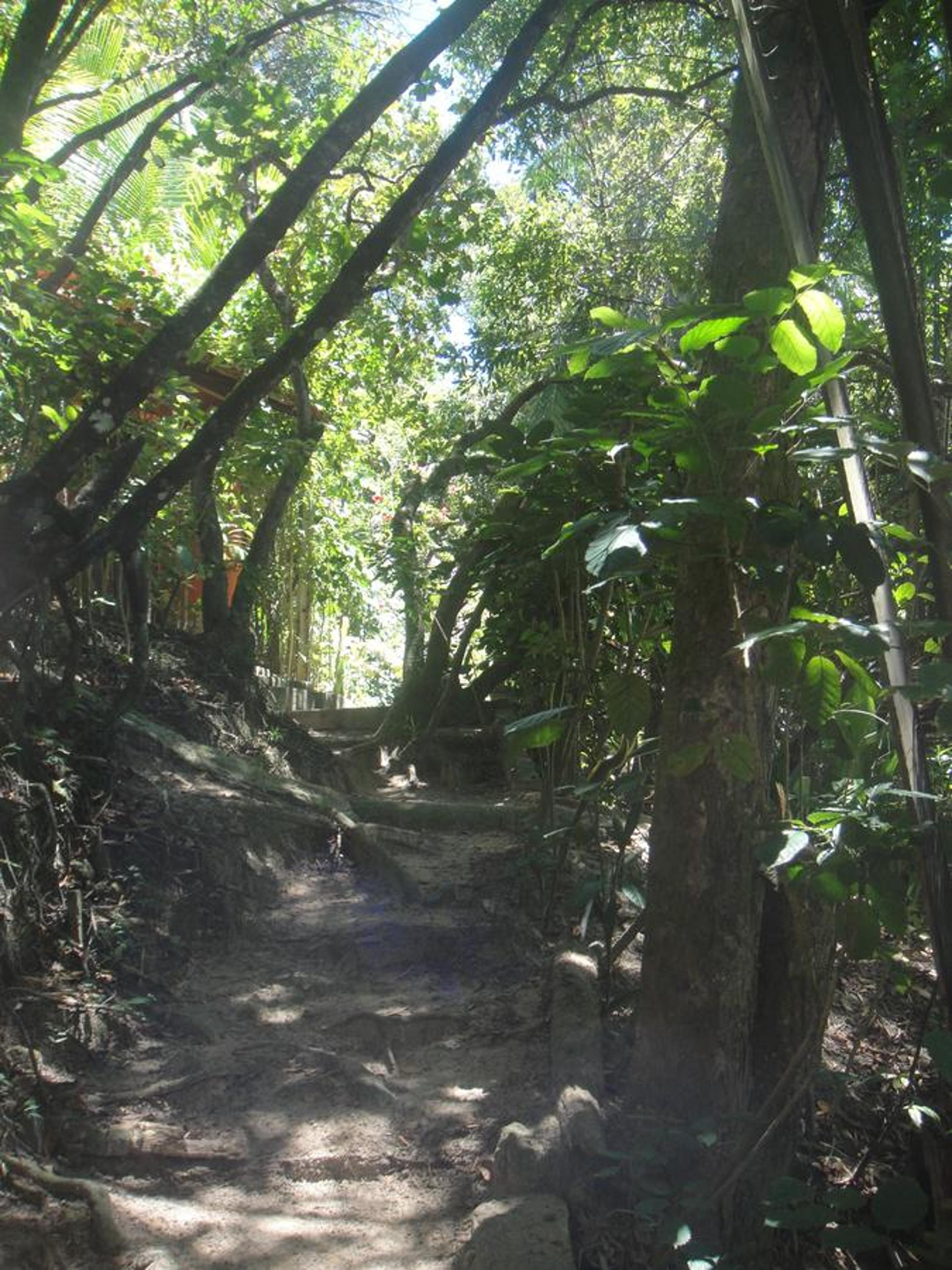 Casa Shuhari