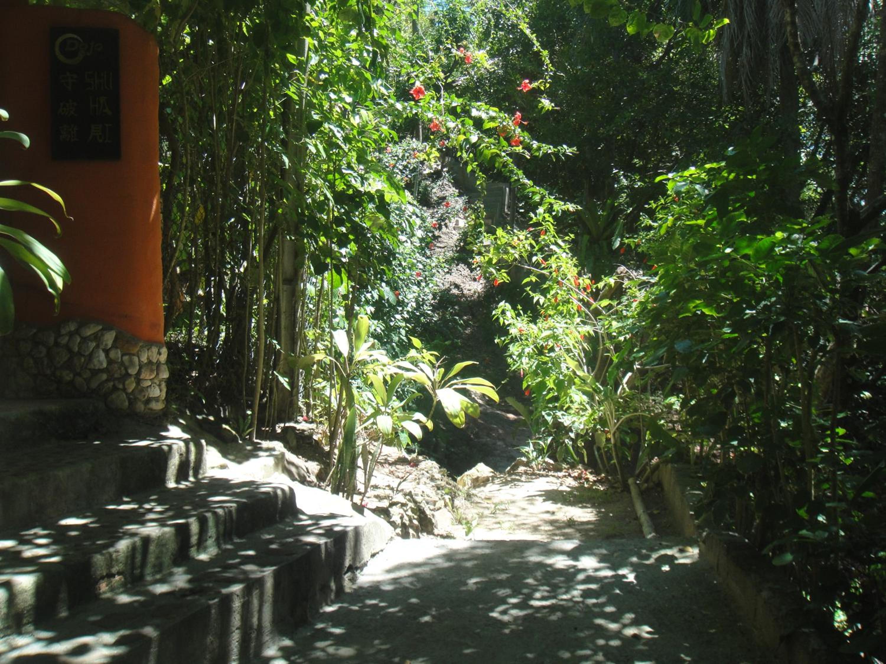 Casa Shuhari