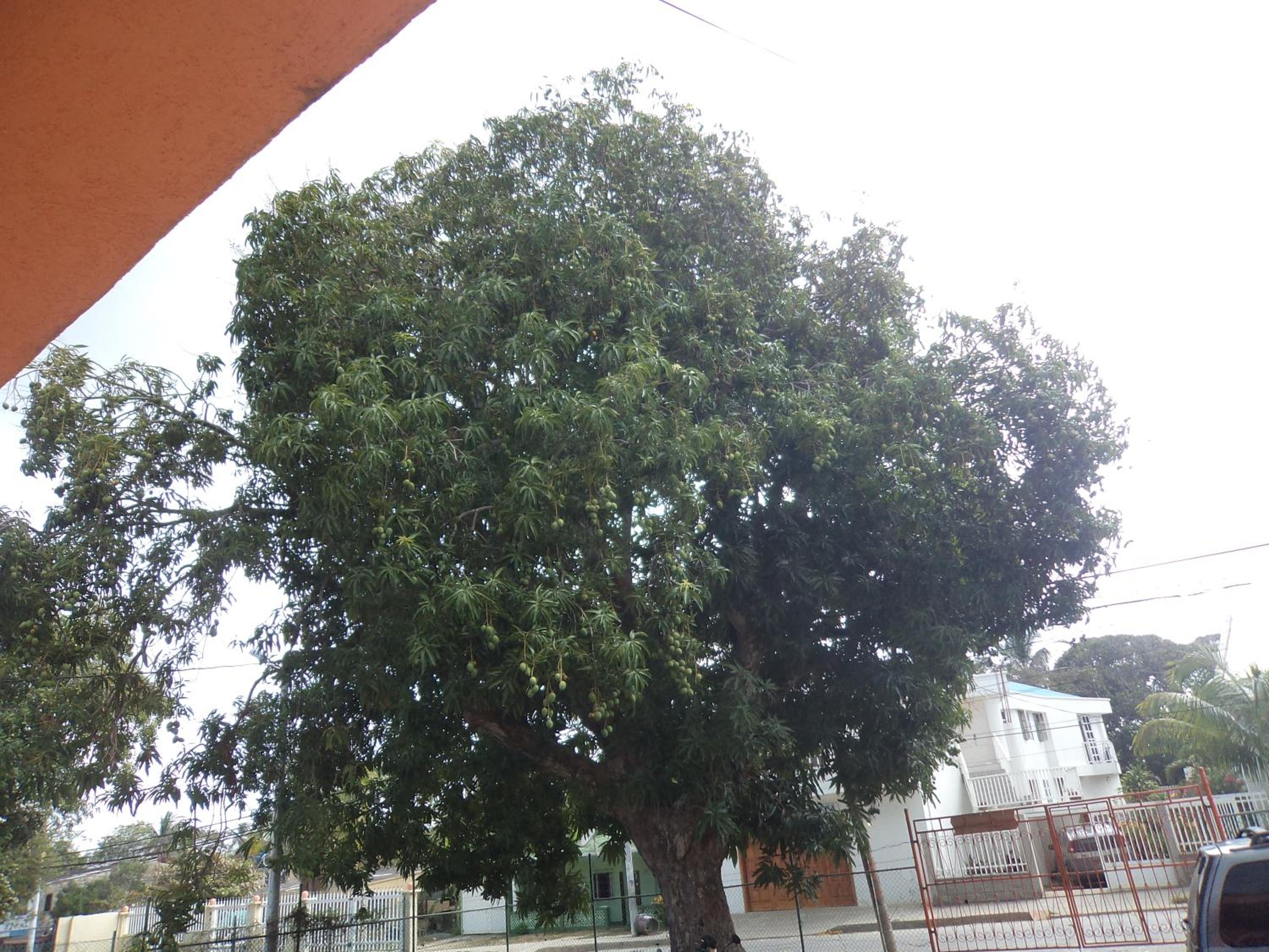 Photo 28