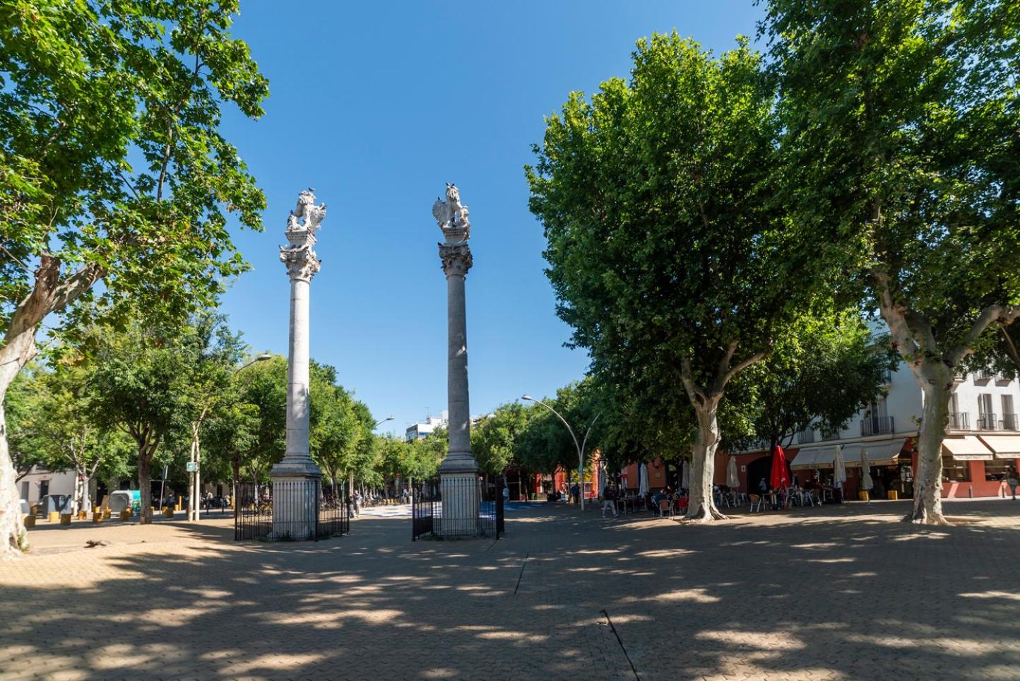 Alohamundi Alameda VI