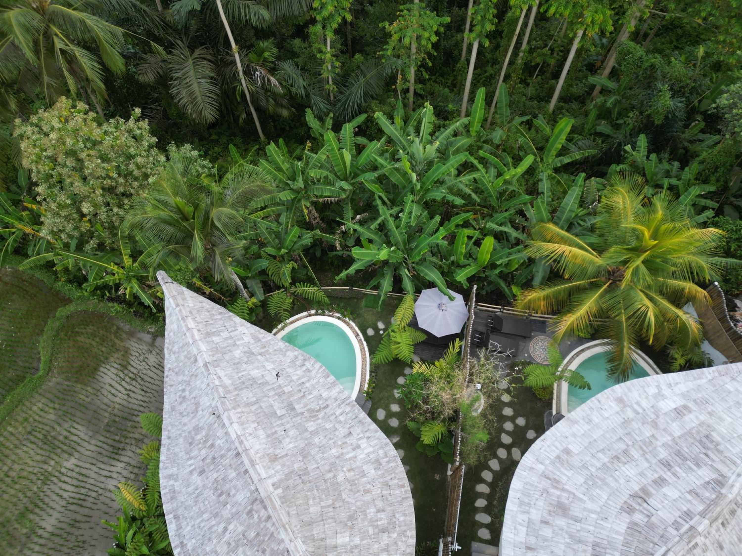 JinengBali Eco Lodge