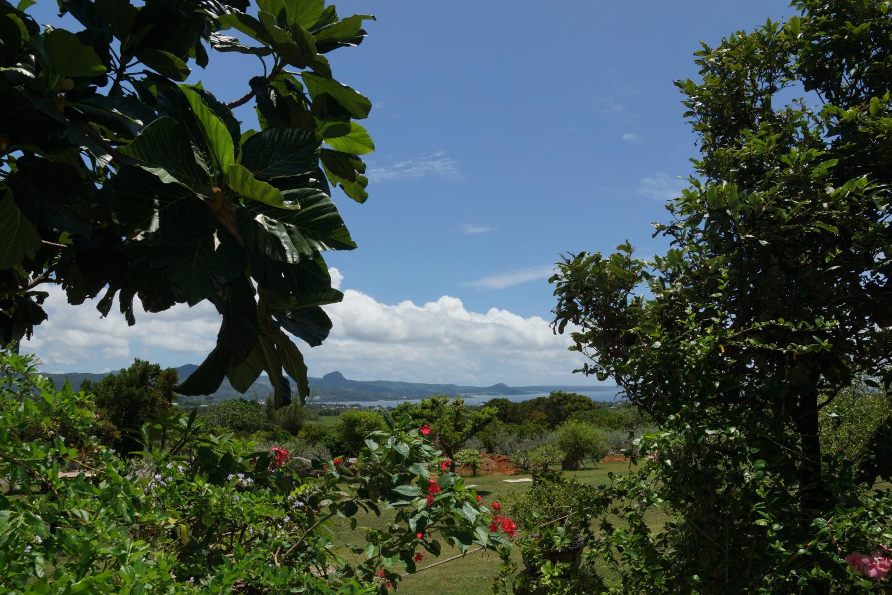 Coral B&B view 3
