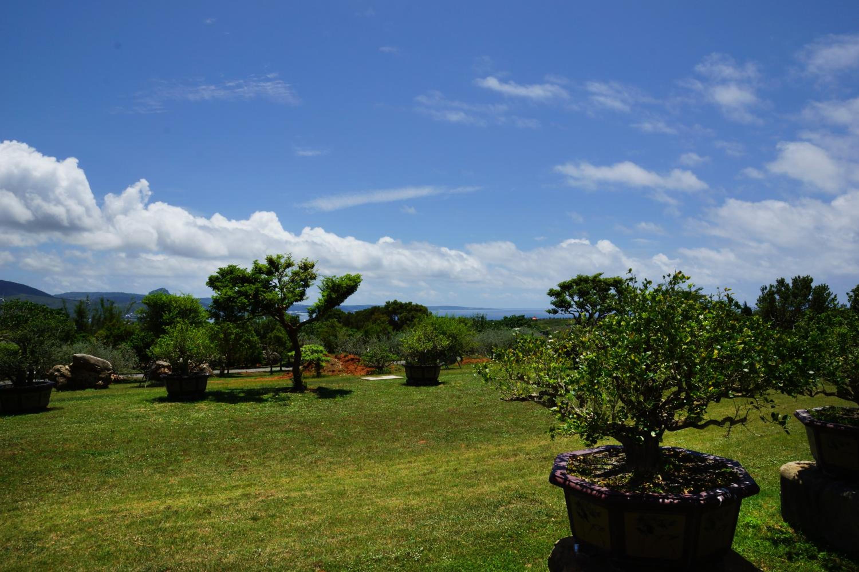 Coral B&B view 4