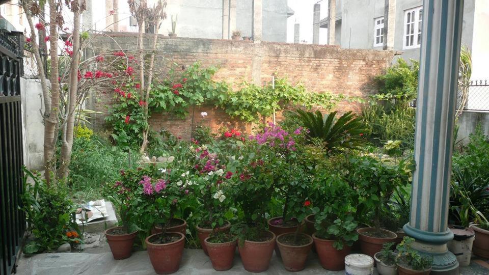 Photo 20