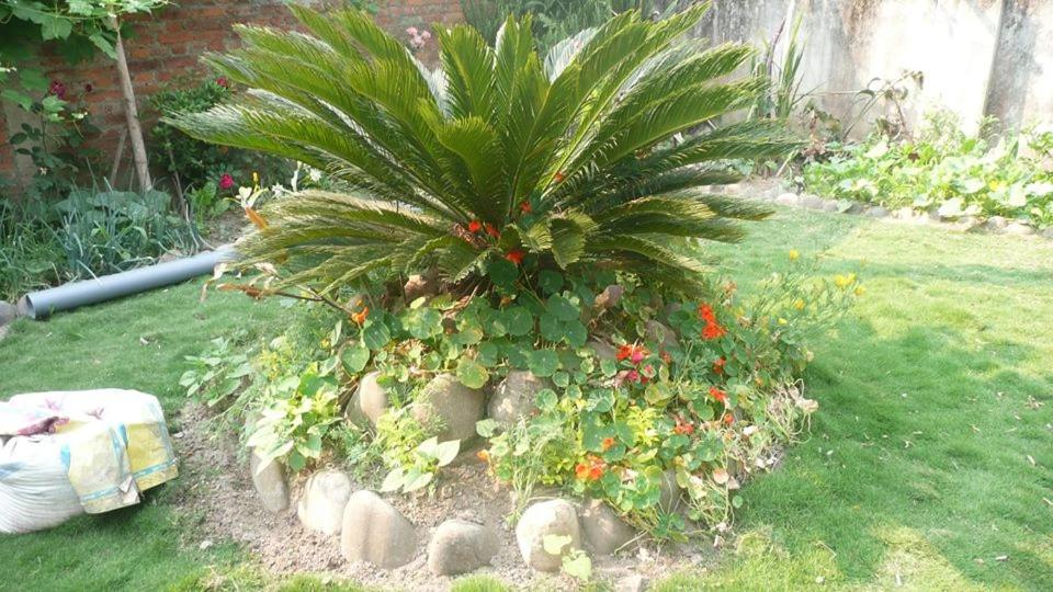 Photo 22