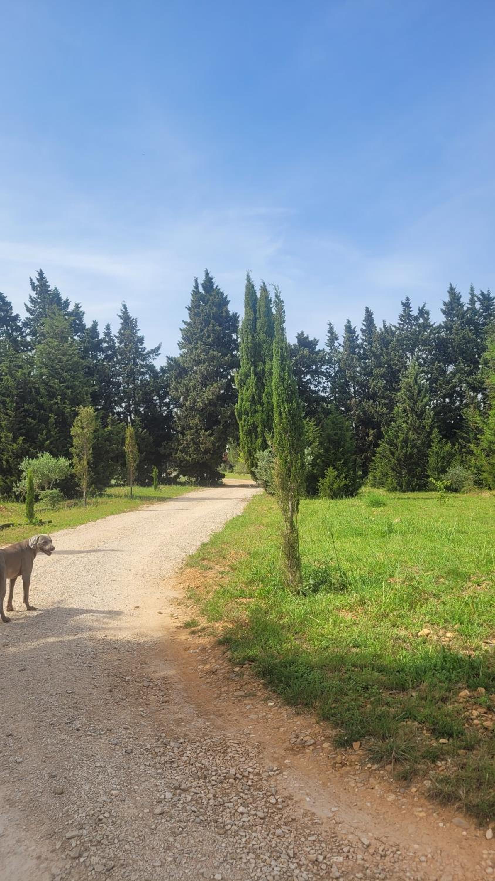 Villa Blanche - Teritoria