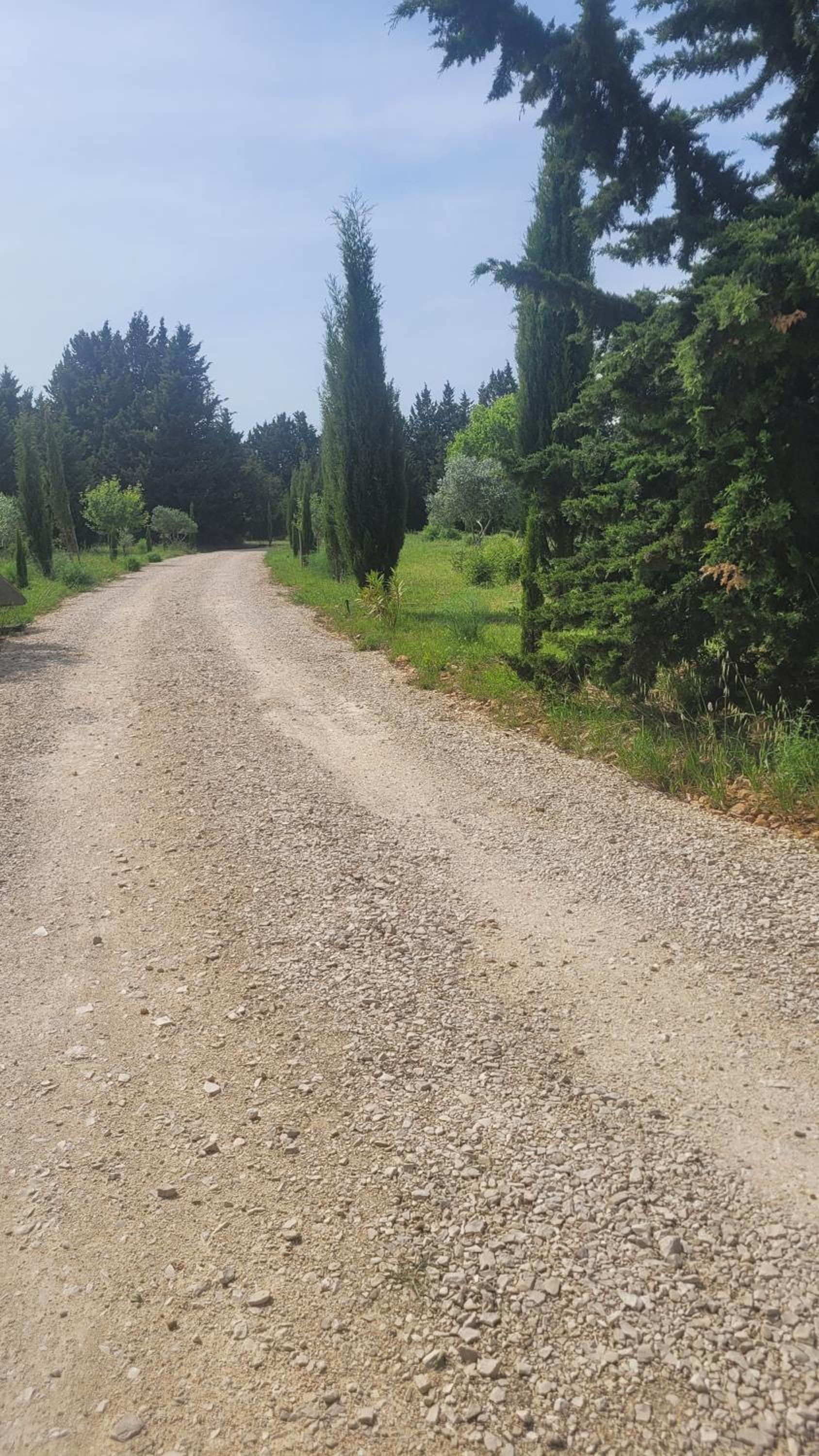 Villa Blanche - Teritoria
