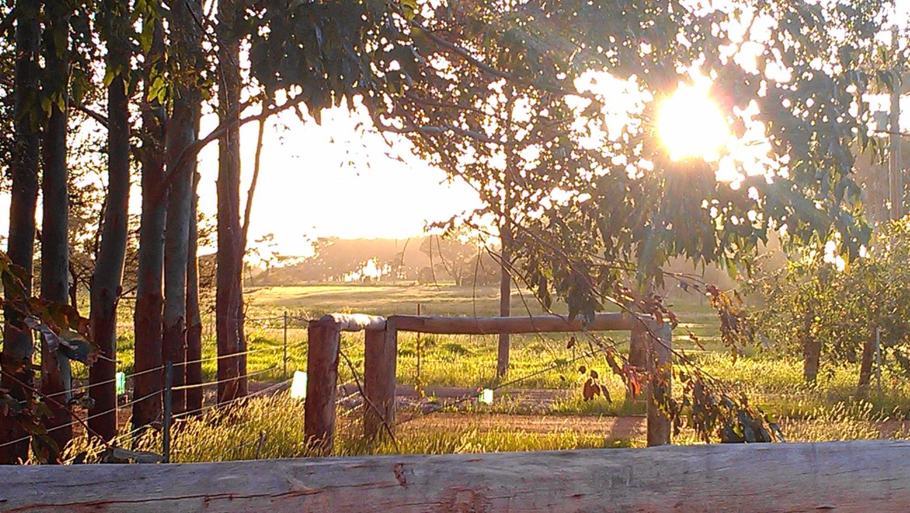 Redgate Forest Retreat