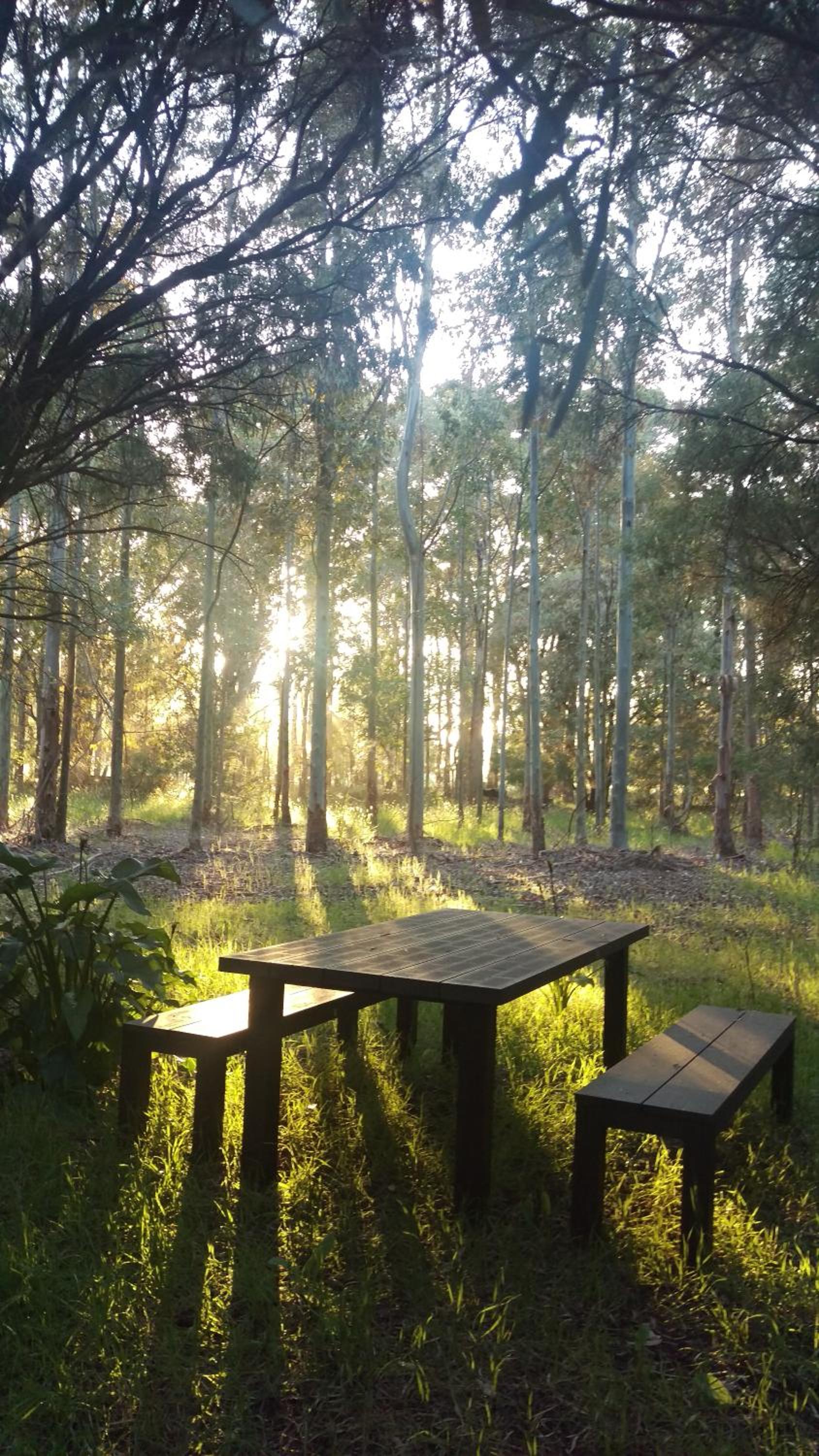 Redgate Forest Retreat