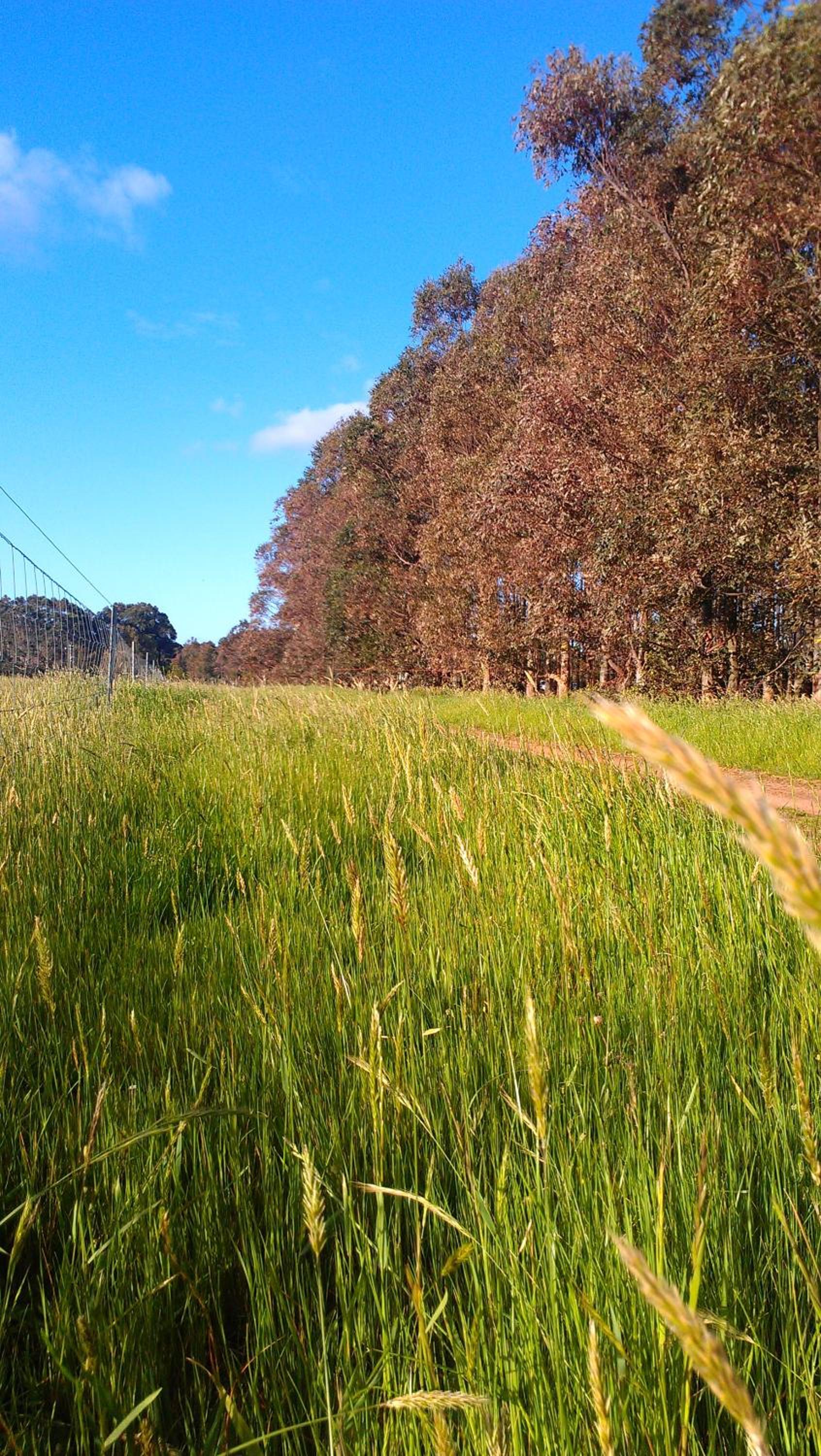 Redgate Forest Retreat