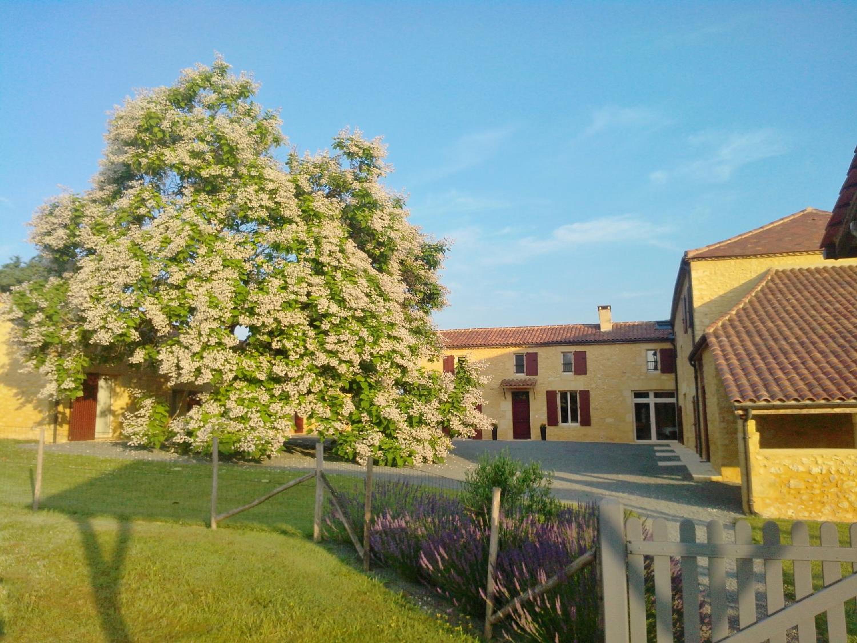Photo 28