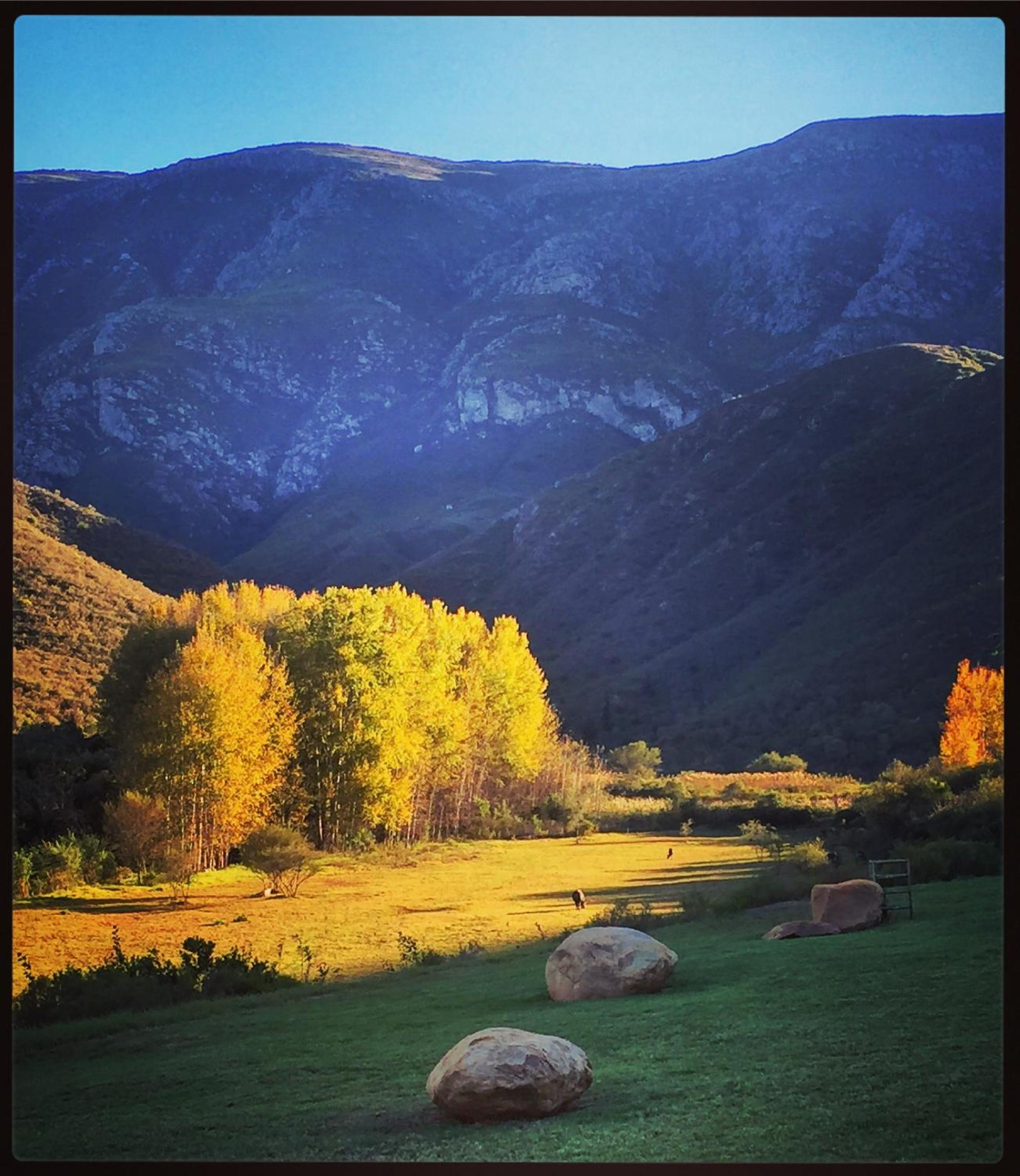 Pat Busch Mountain Reserve