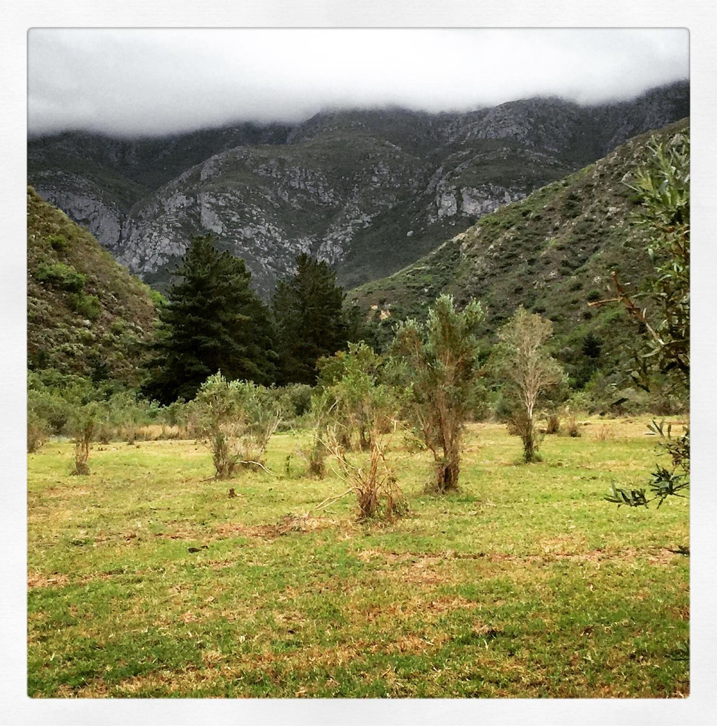 Pat Busch Mountain Reserve
