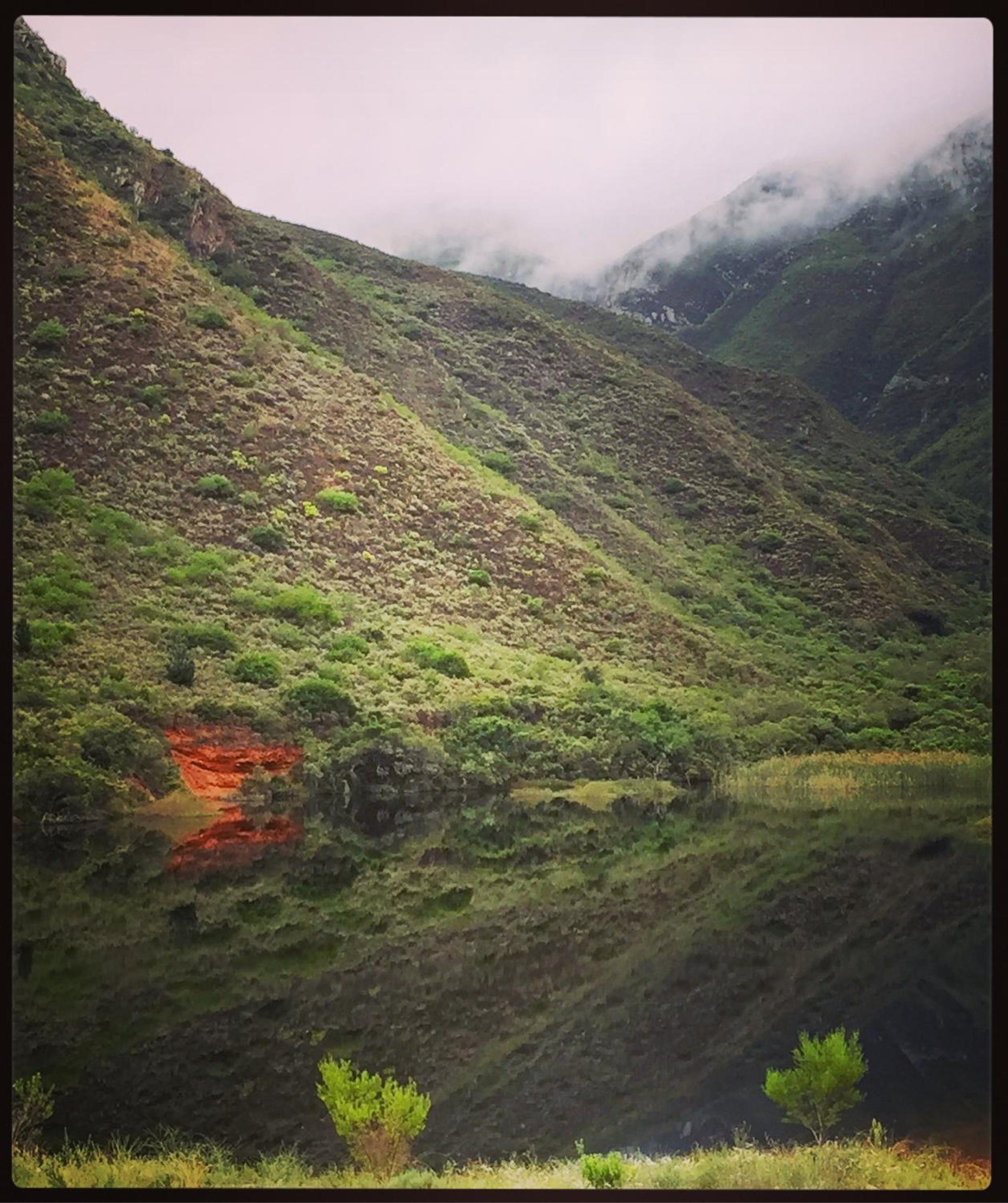 Pat Busch Mountain Reserve