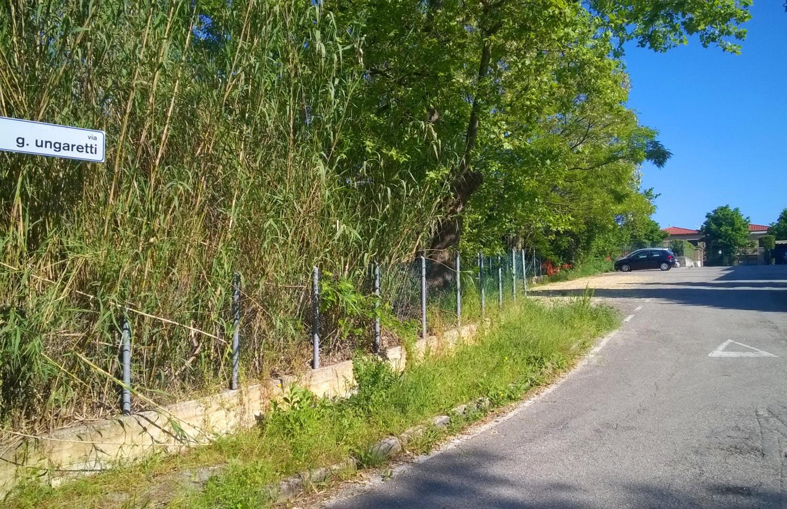 ColleMare