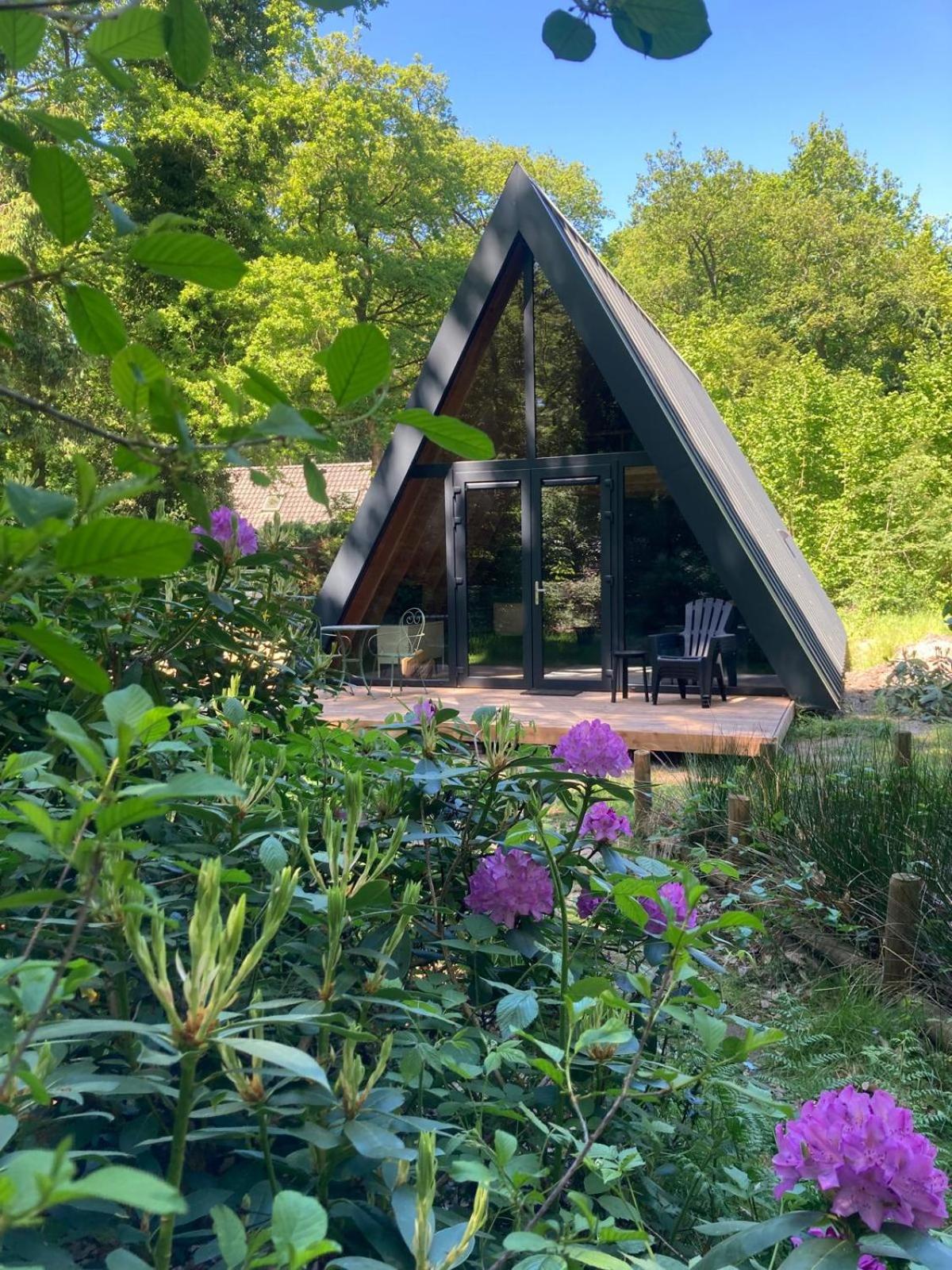 A-huis in het bos van Drenthe
