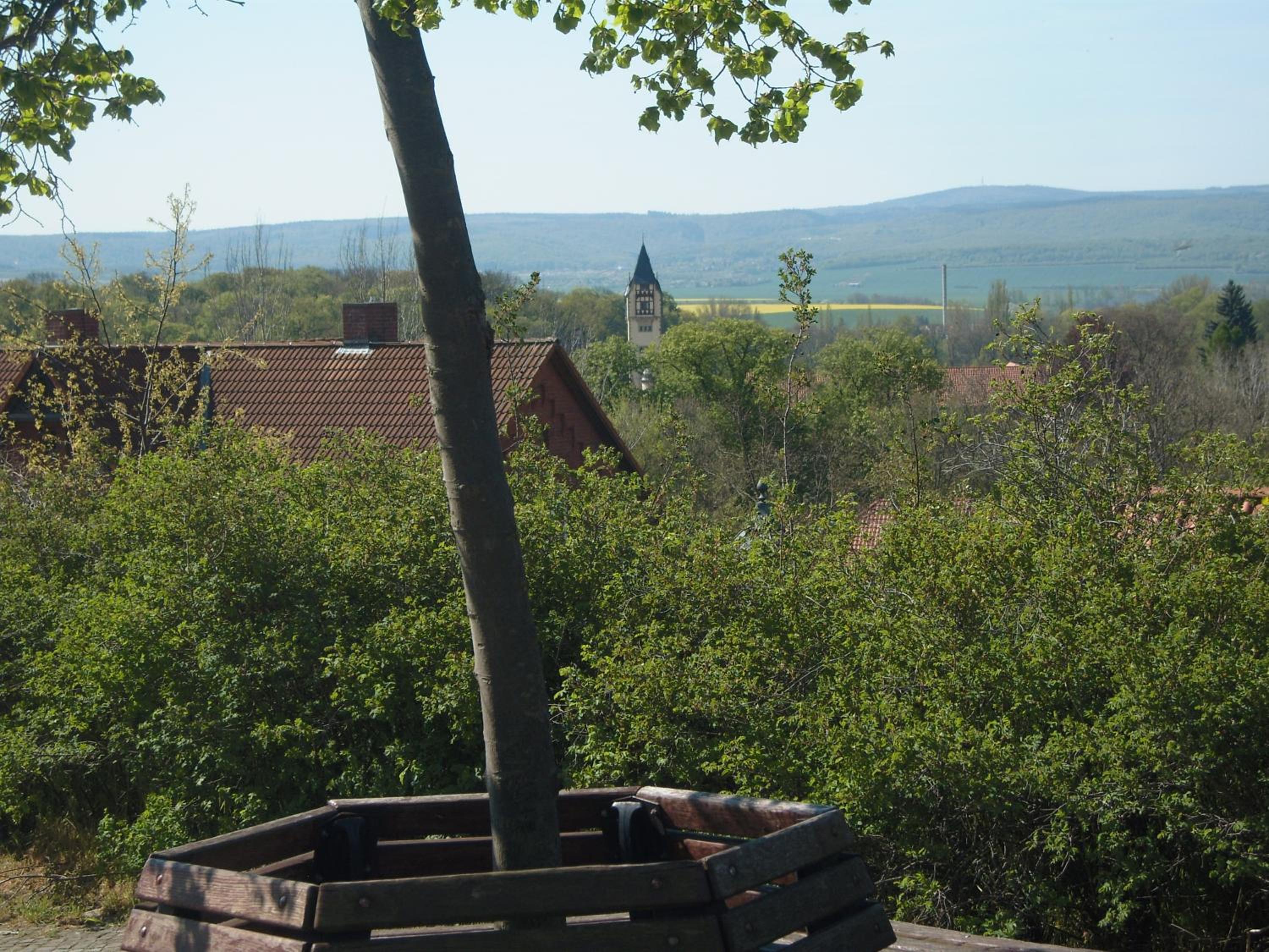 Photo 25
