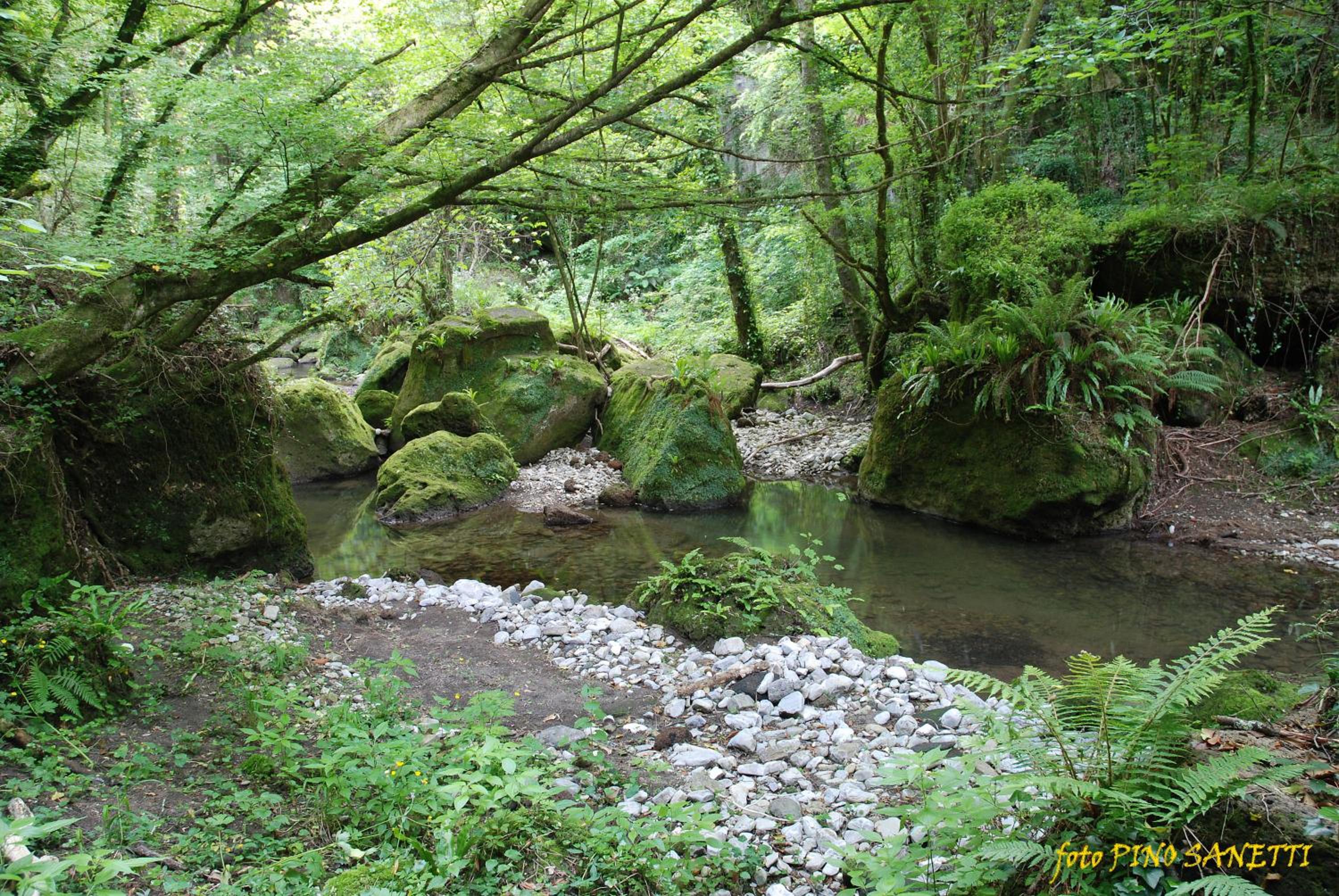 Photo 30