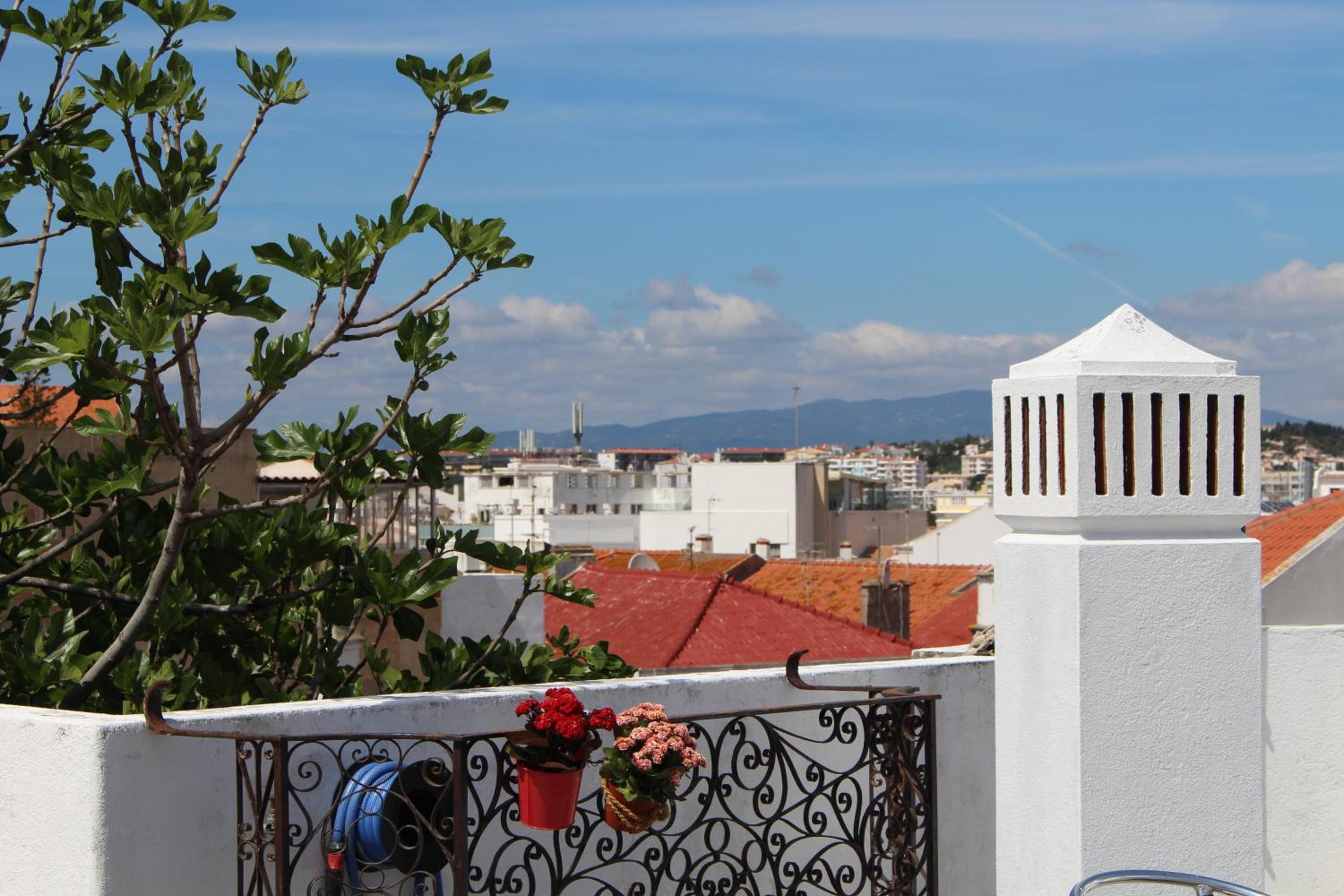 roof