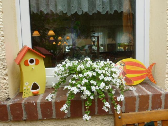 Gasthaus Forelle