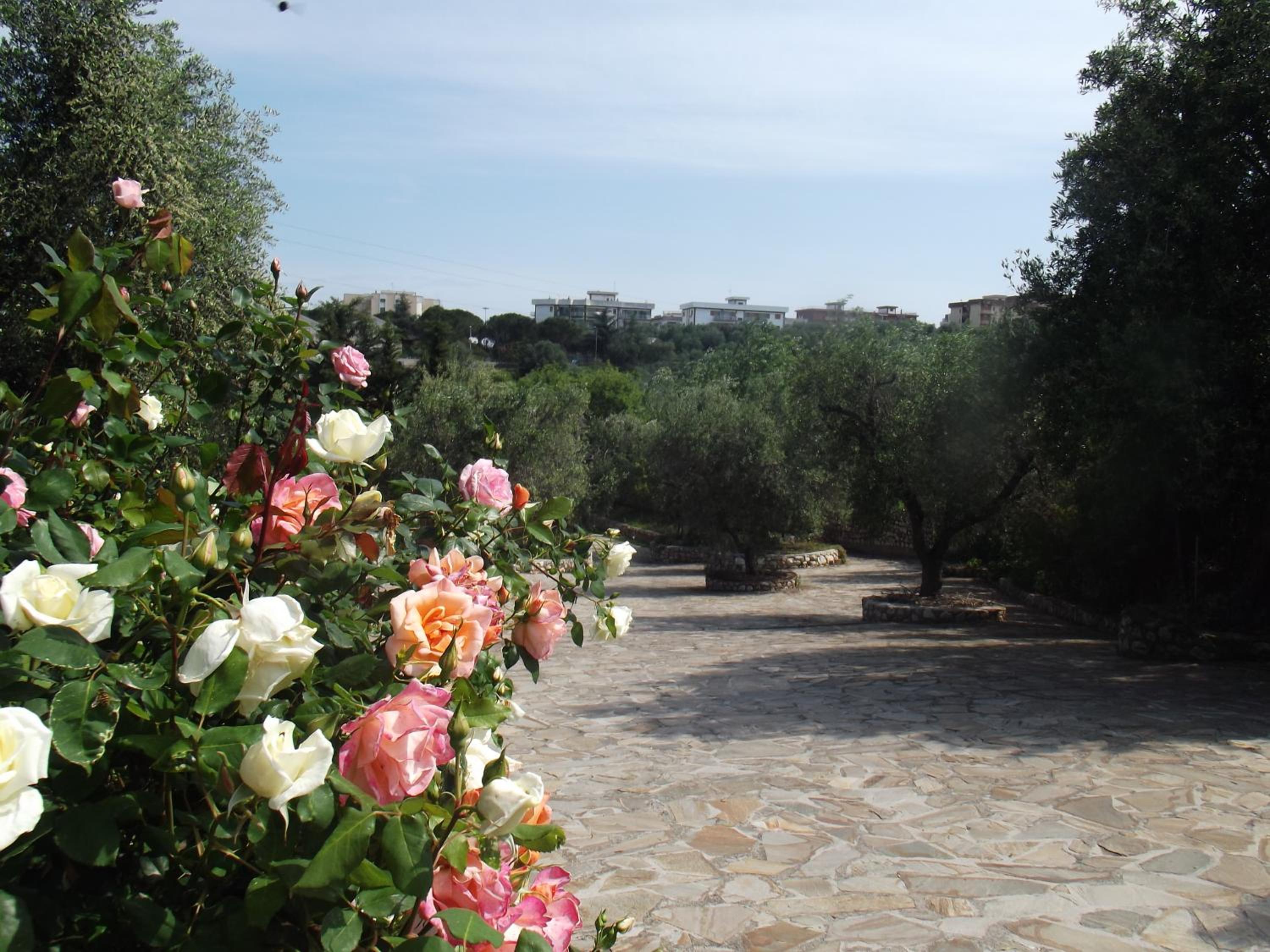 Hotel Resort Poggio degli Ulivi