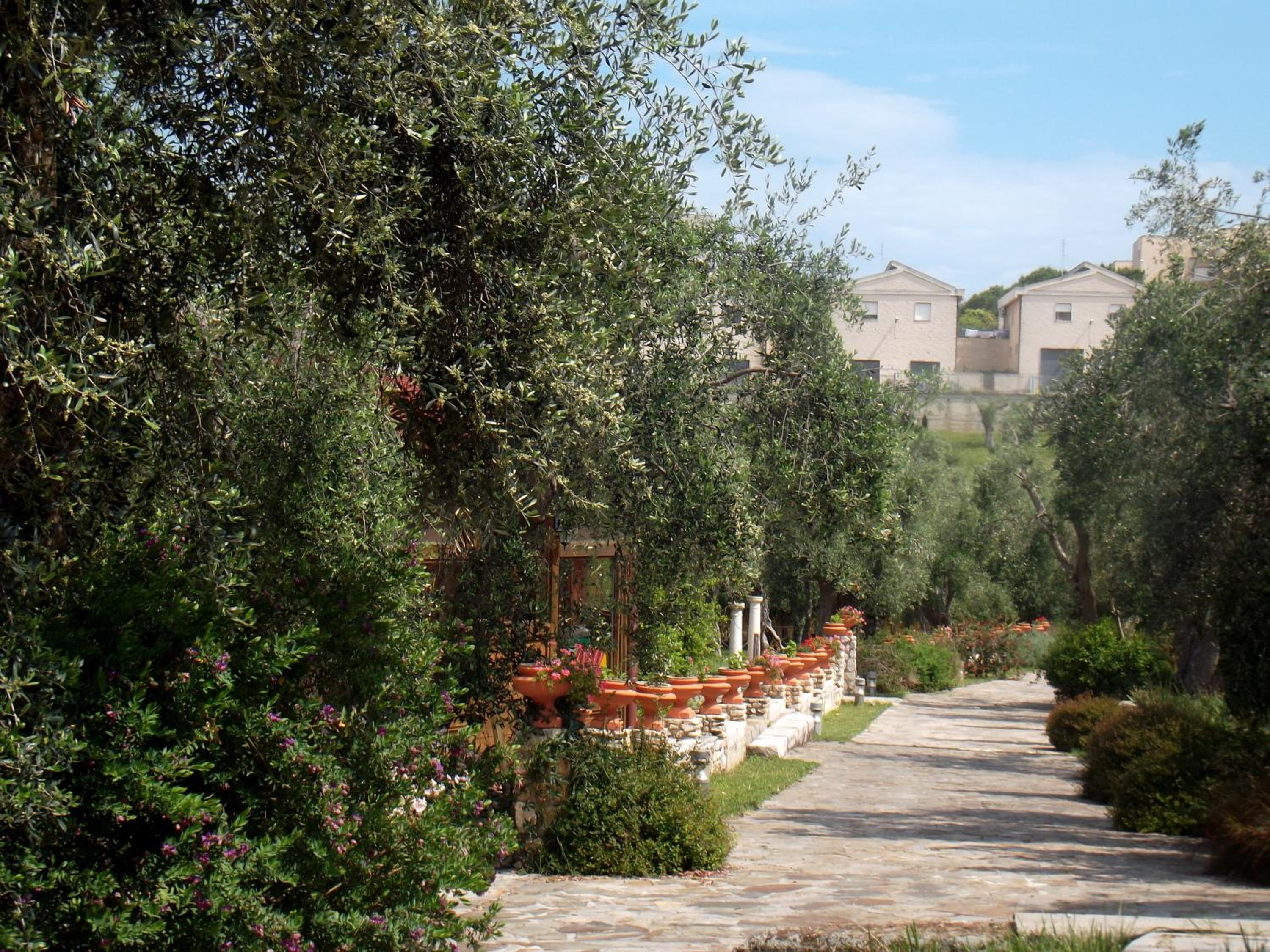 Hotel Resort Poggio degli Ulivi