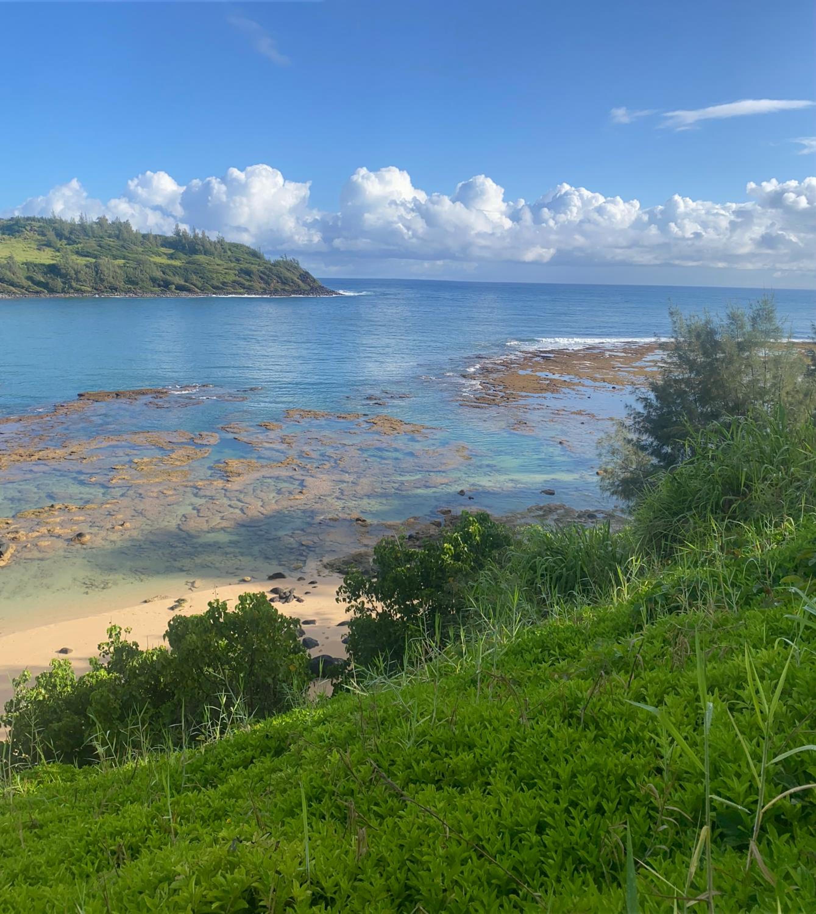 This is it! Dreamy Beach, Stunning Views, Awesome Location 10 guest limit