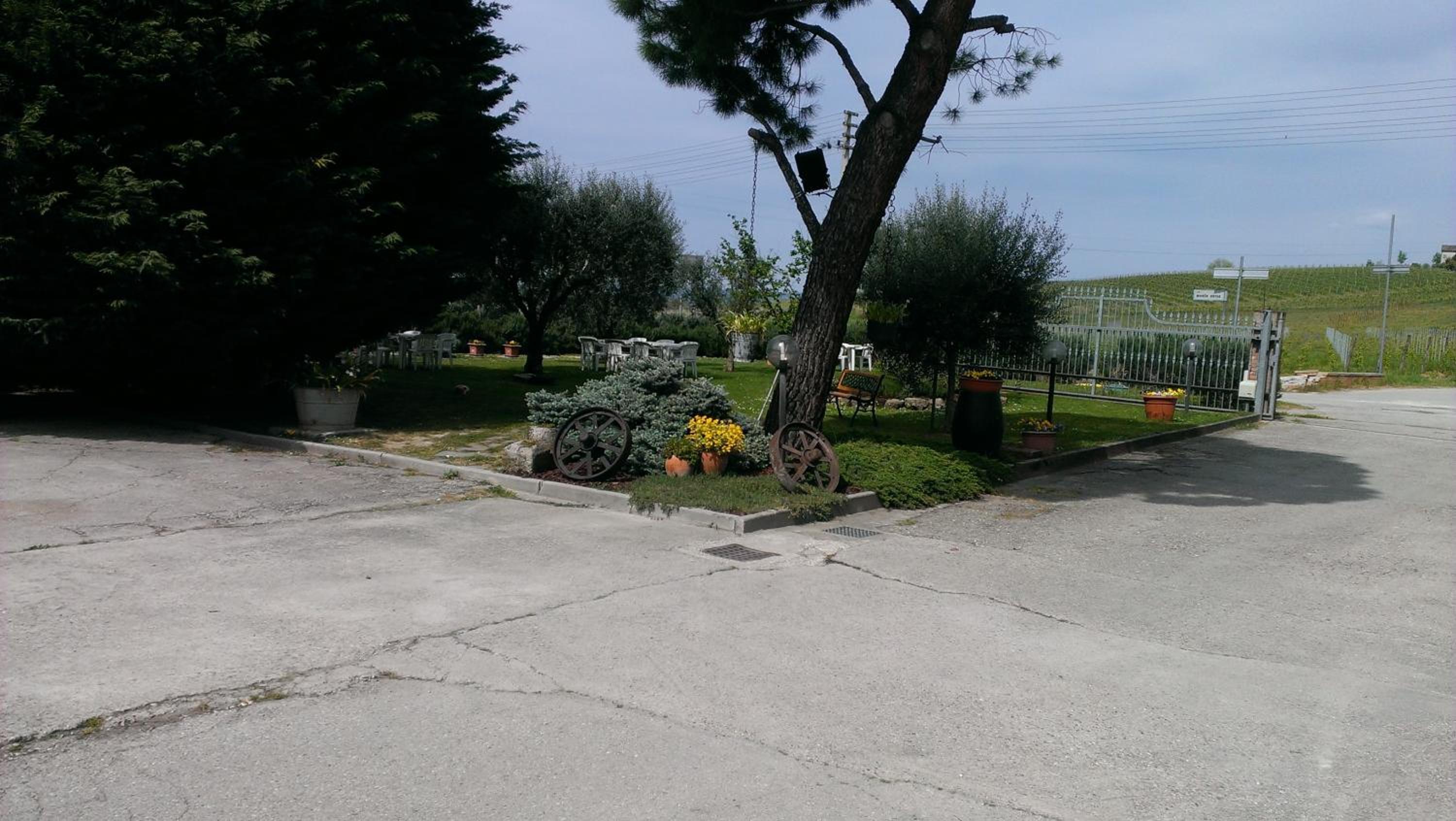 Photo 11