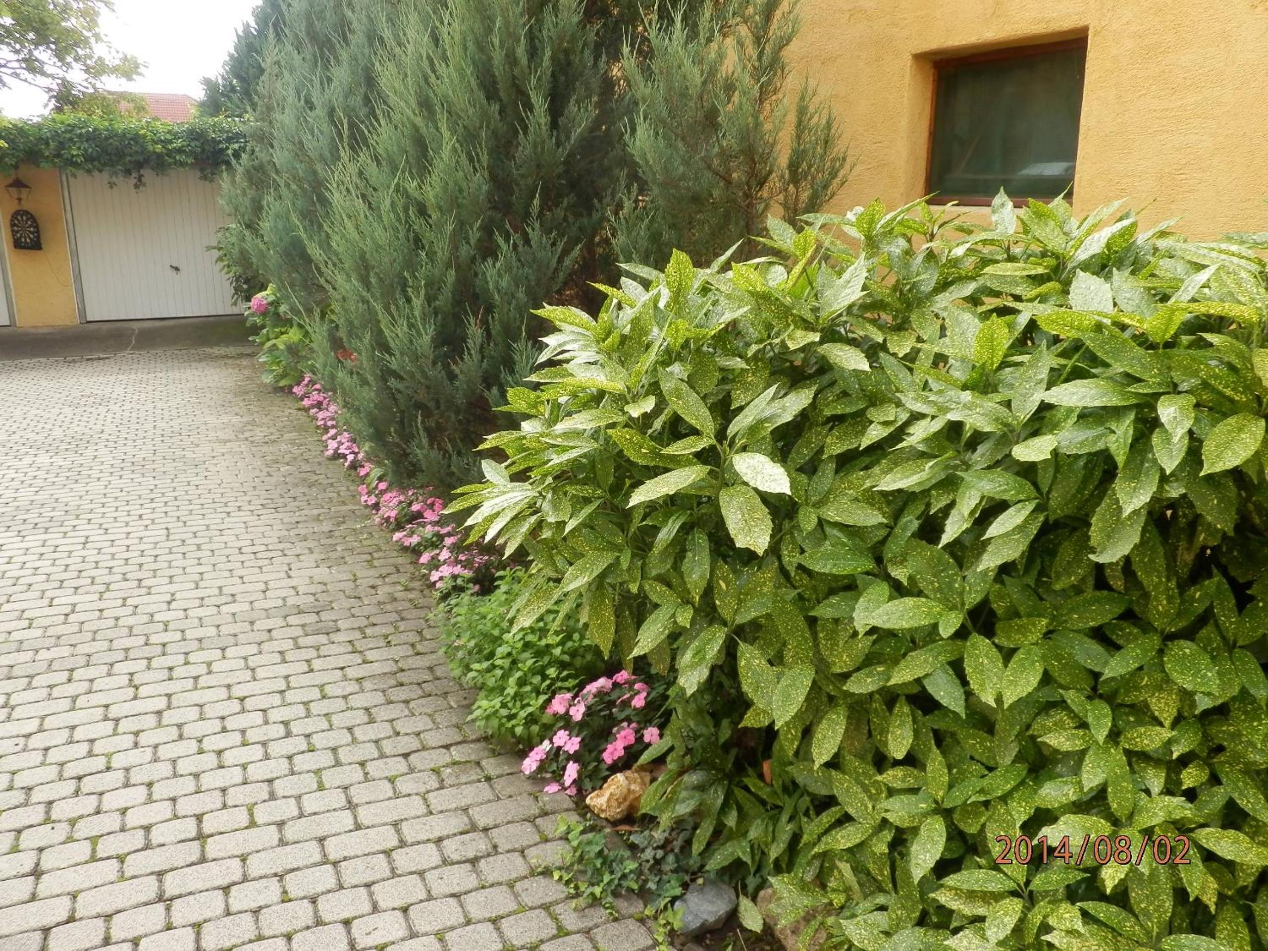 Photo 24