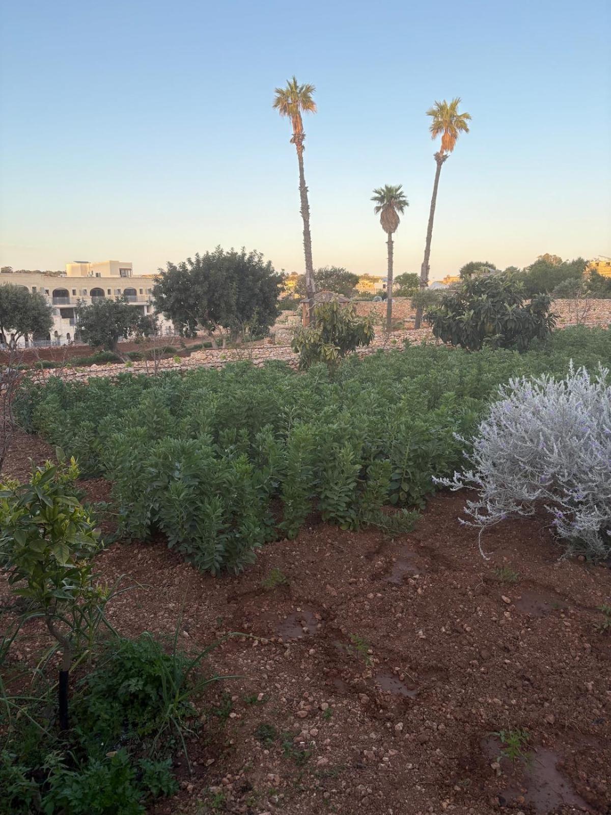 Luxury 3 Bed Apartment with Large Outdoor Pools and Gardens