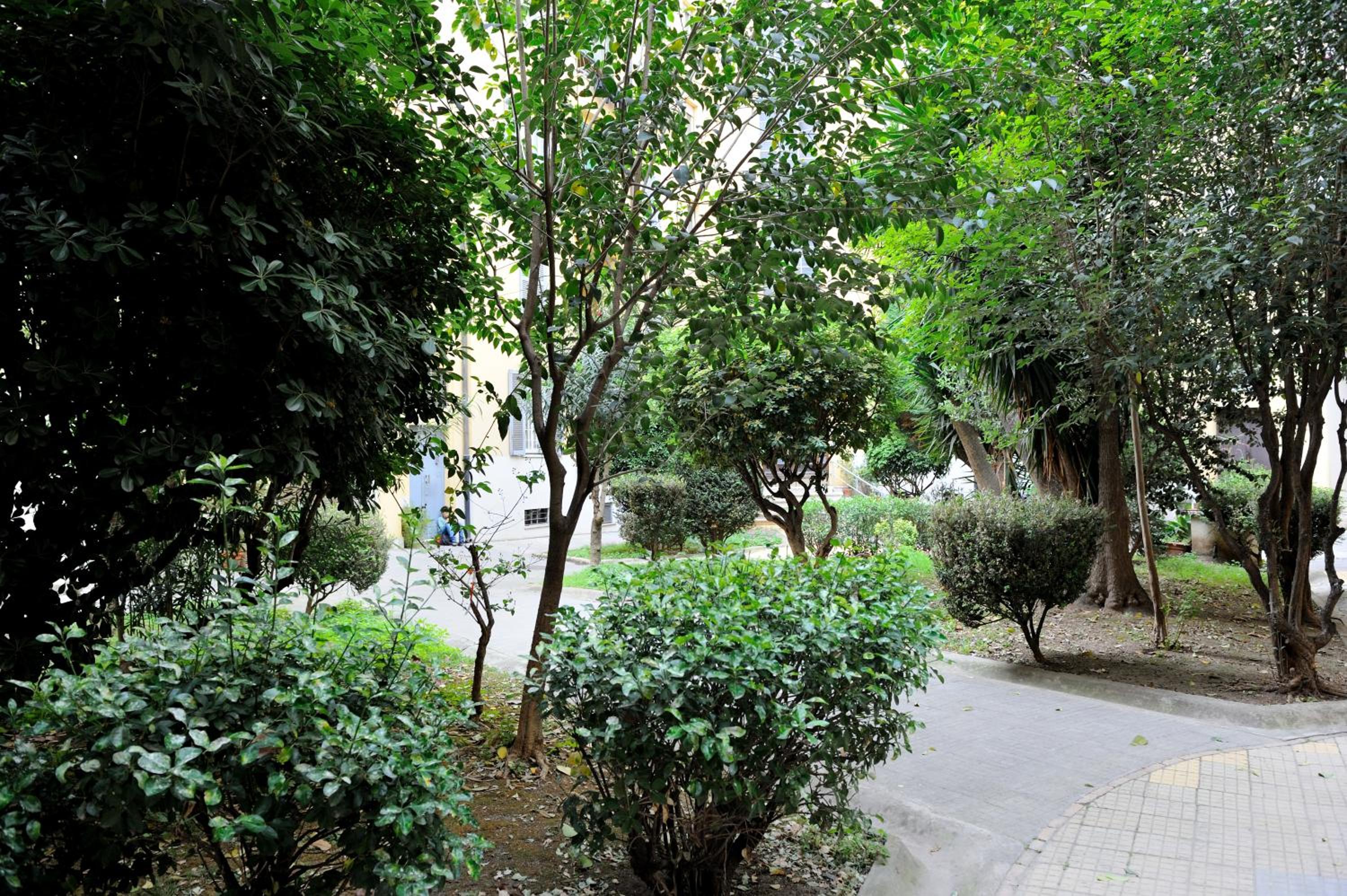 Alexia Home