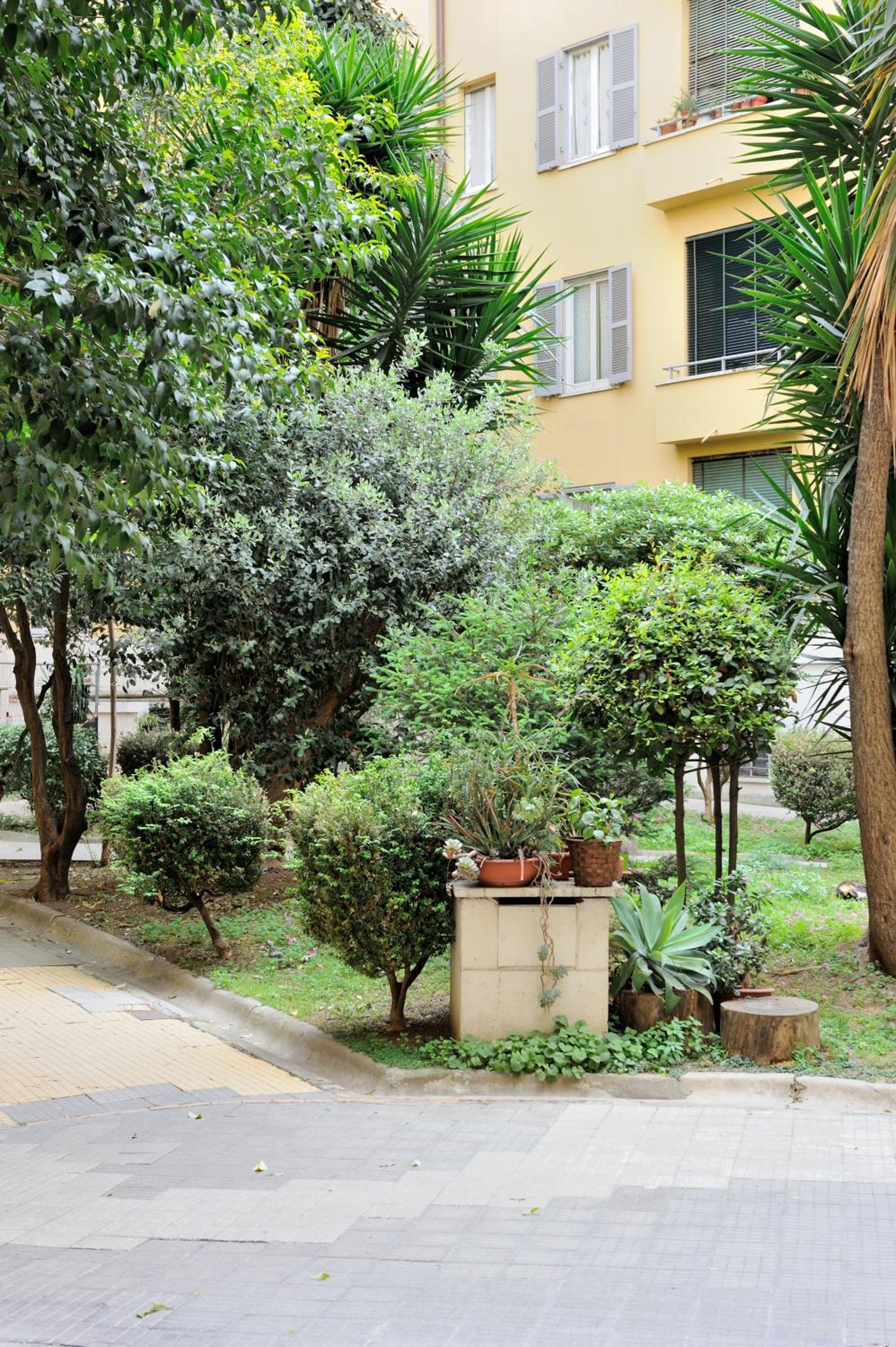 Alexia Home