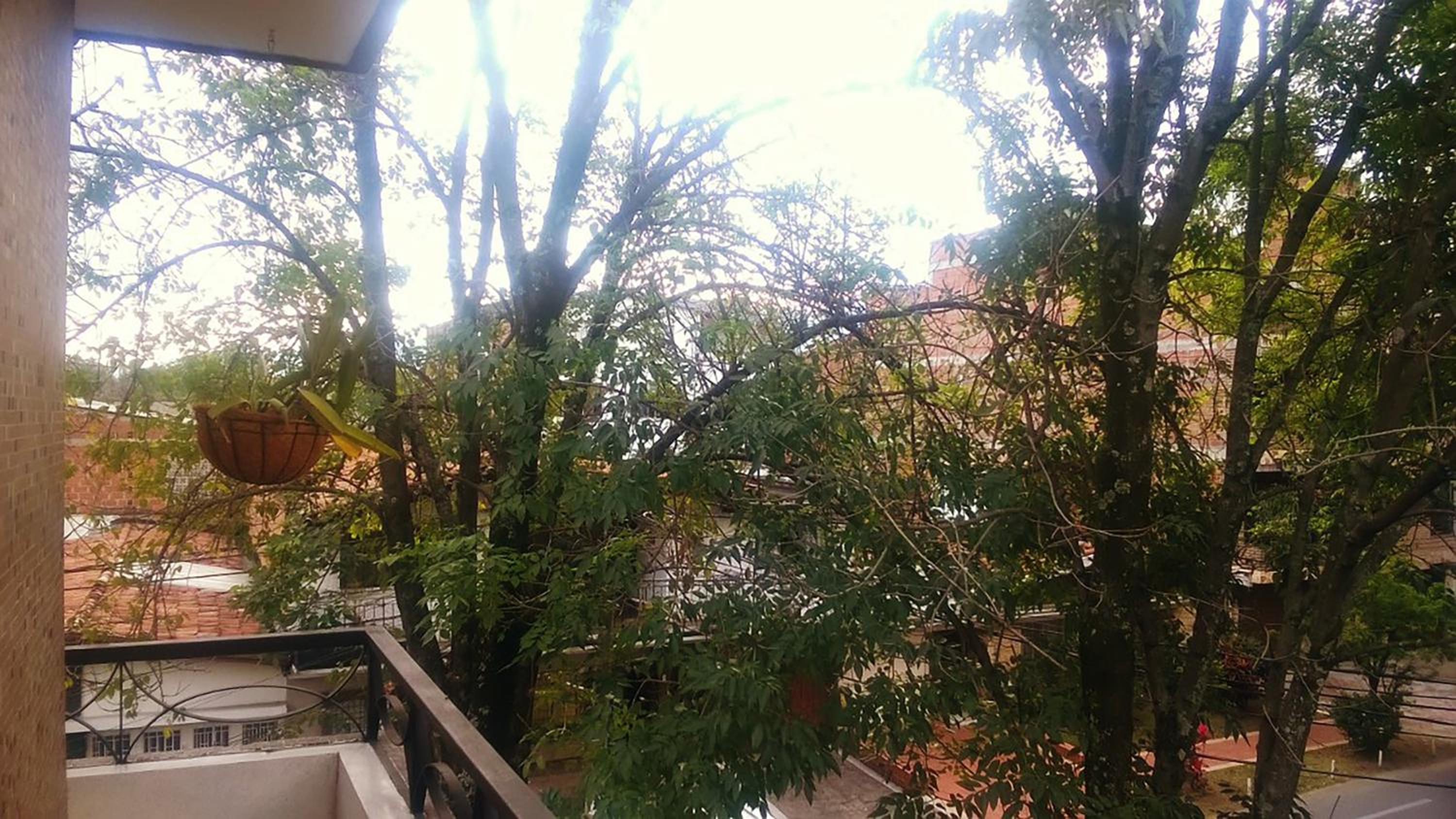 Selvática Alojamiento Eco